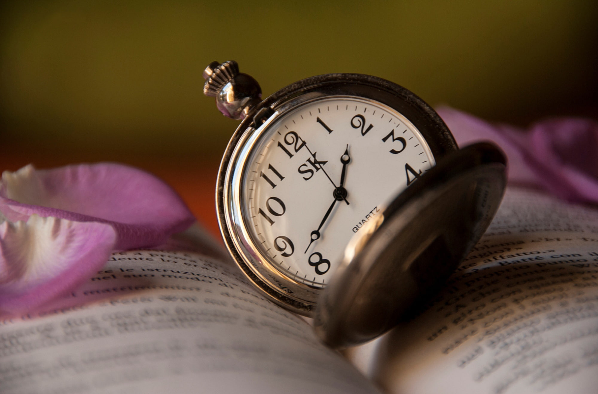 time, petals, text, colored, pink, rose, watch, sk, book, silver, pocketwatch, 1080P, round, HD Wallpaper