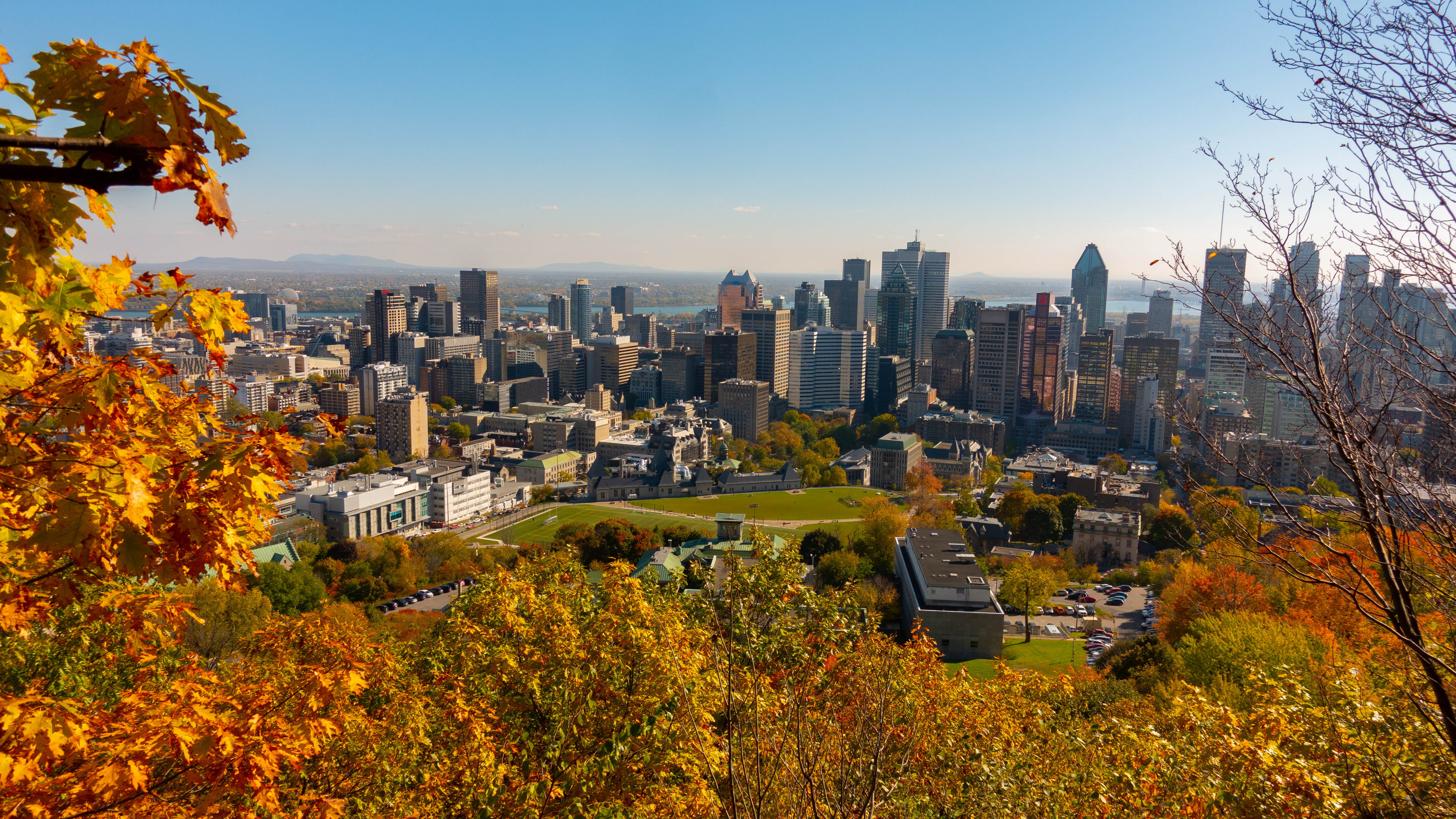 residential district, flora, downtown, built structure, aerial view, building exterior, vine, skyscraper, change, buildings, urban, building, cityscape, HD Wallpaper