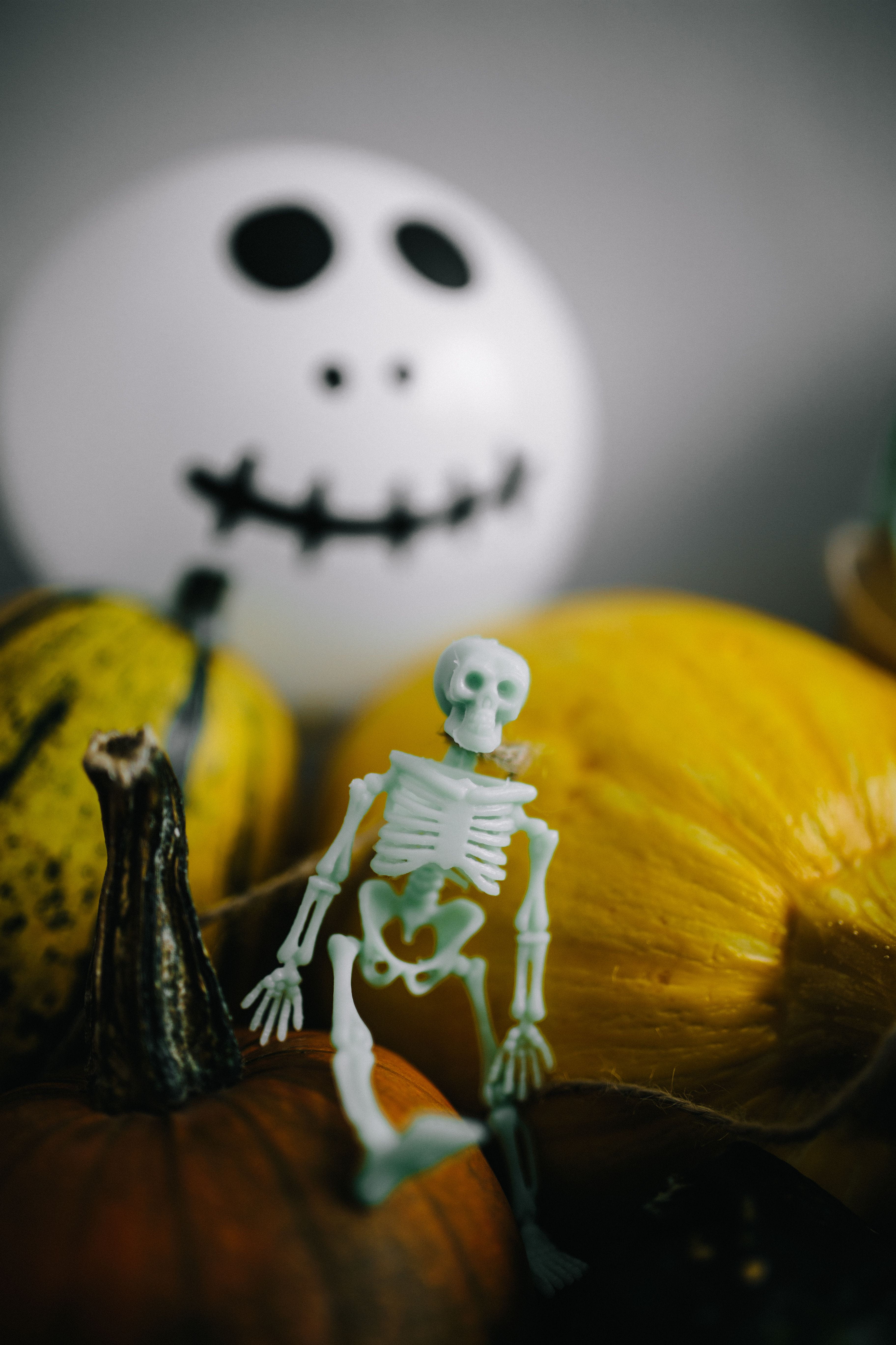 celebration, ghosts, pumpkins, pumpkin, skeleton, creativity, fall, halloween, food, fear, boo, close-up, human representation, spooky, autumn, indoors, Phone HD Wallpaper