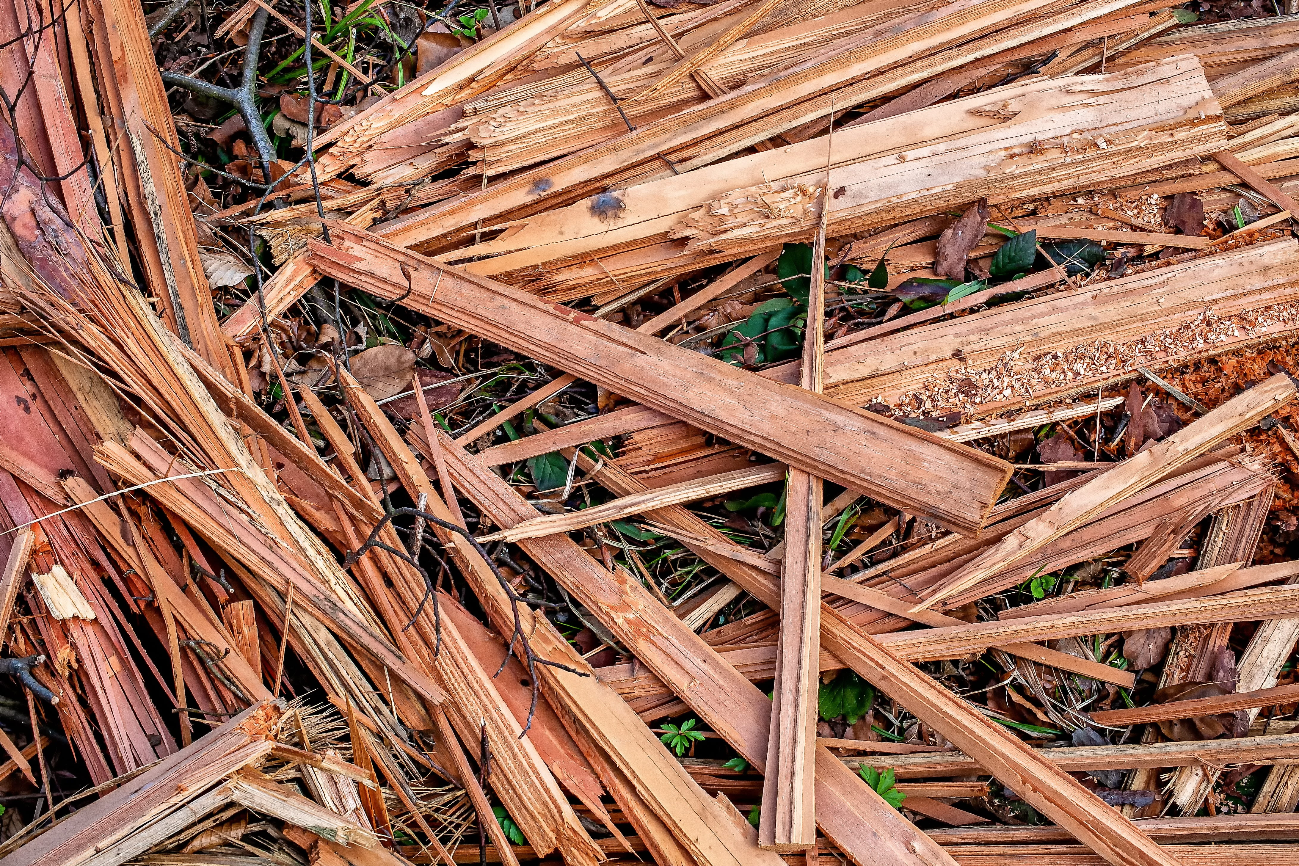 dry, land, nature, pieces of wood, industry, plant, large group of objects, chips, fragmented, full frame, wood - material, woods, close-up, stack, chop wood, HD Wallpaper