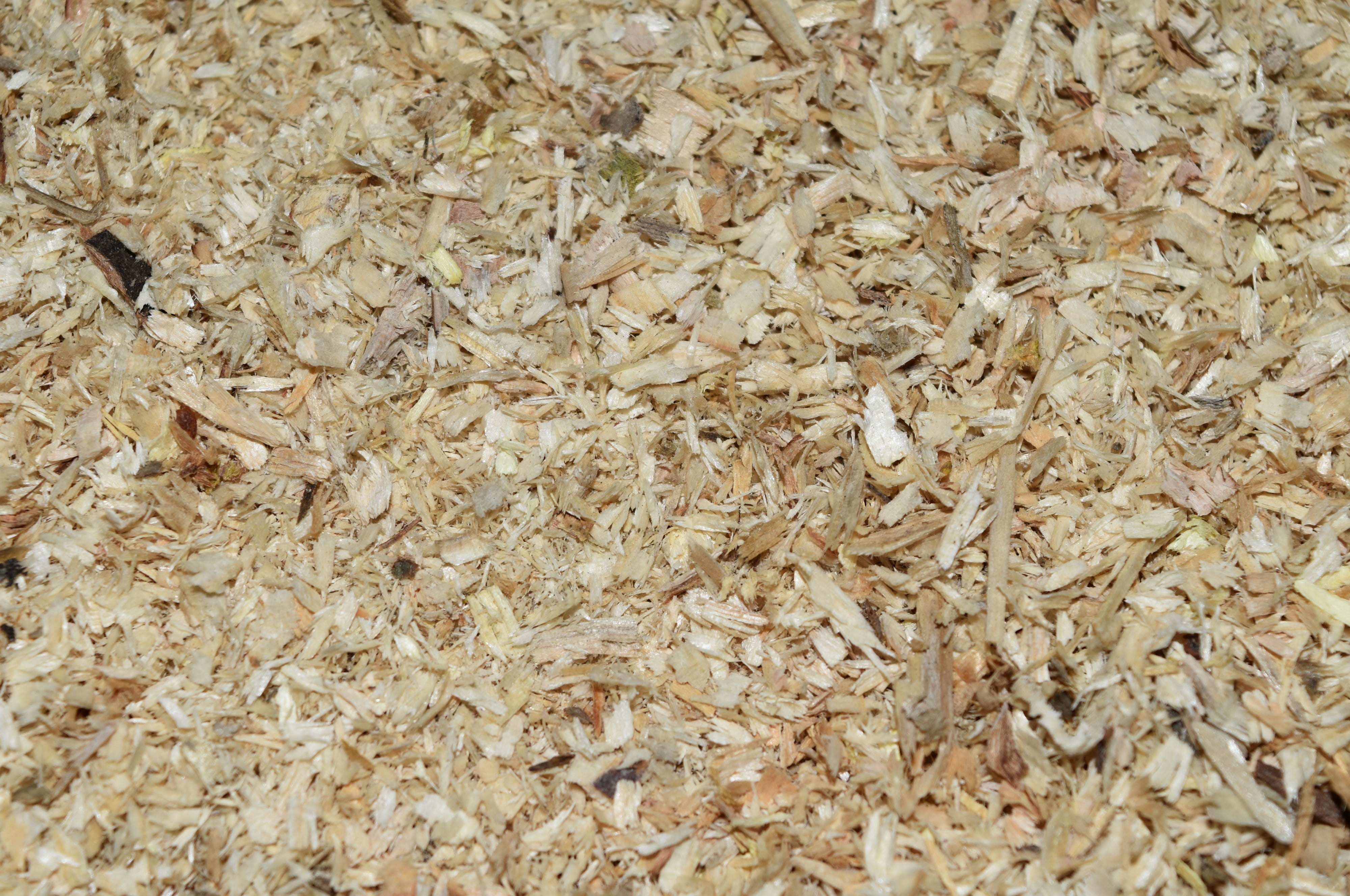 4K, wood, dry, surface, textured, rough, expression, agriculture, oats - food, cereal plant, no people, plant, abstract, nature, backgrounds, HD Wallpaper