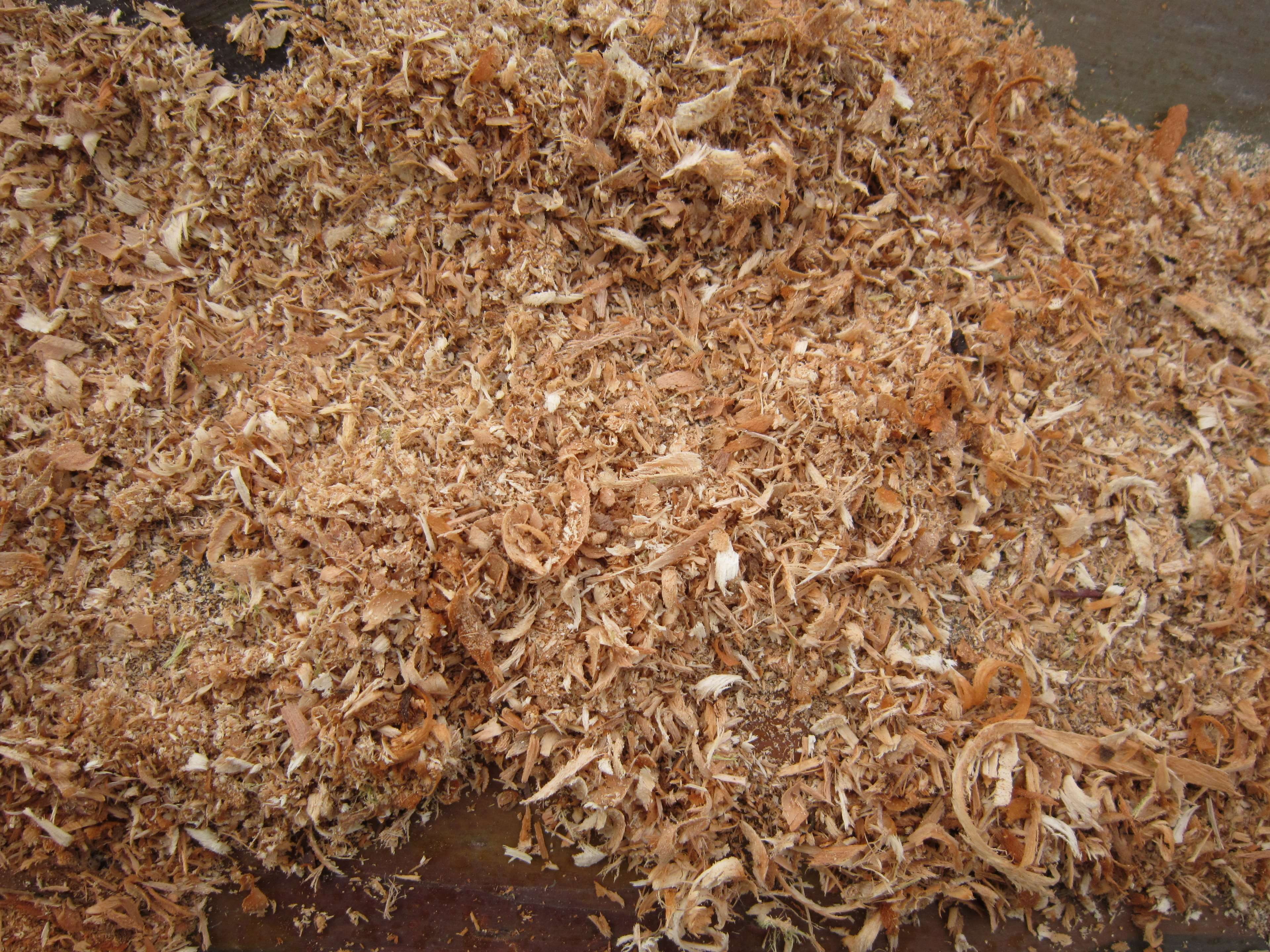 brown, 4K, nature, plant, day, high angle view, close-up, outdoors, land, large group of objects, shavings, dried, food, backgrounds, dry, leaf, field, HD Wallpaper