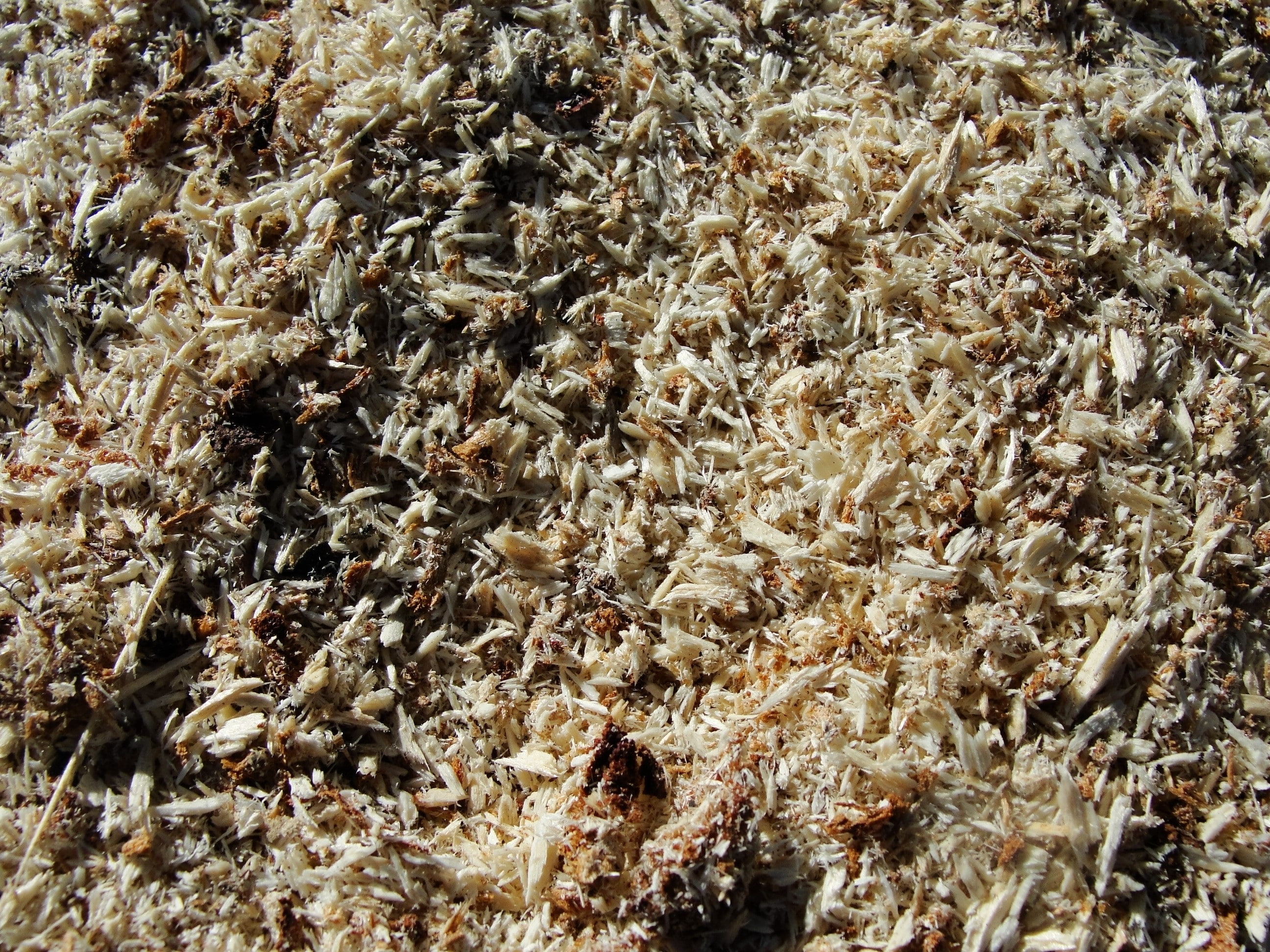 nature, honeycomb, close-up, abundance, Wood, insect, food, Sawdust, backgrounds, day, no people, Texture, group of animals, food and drink, bee, Background, HD Wallpaper