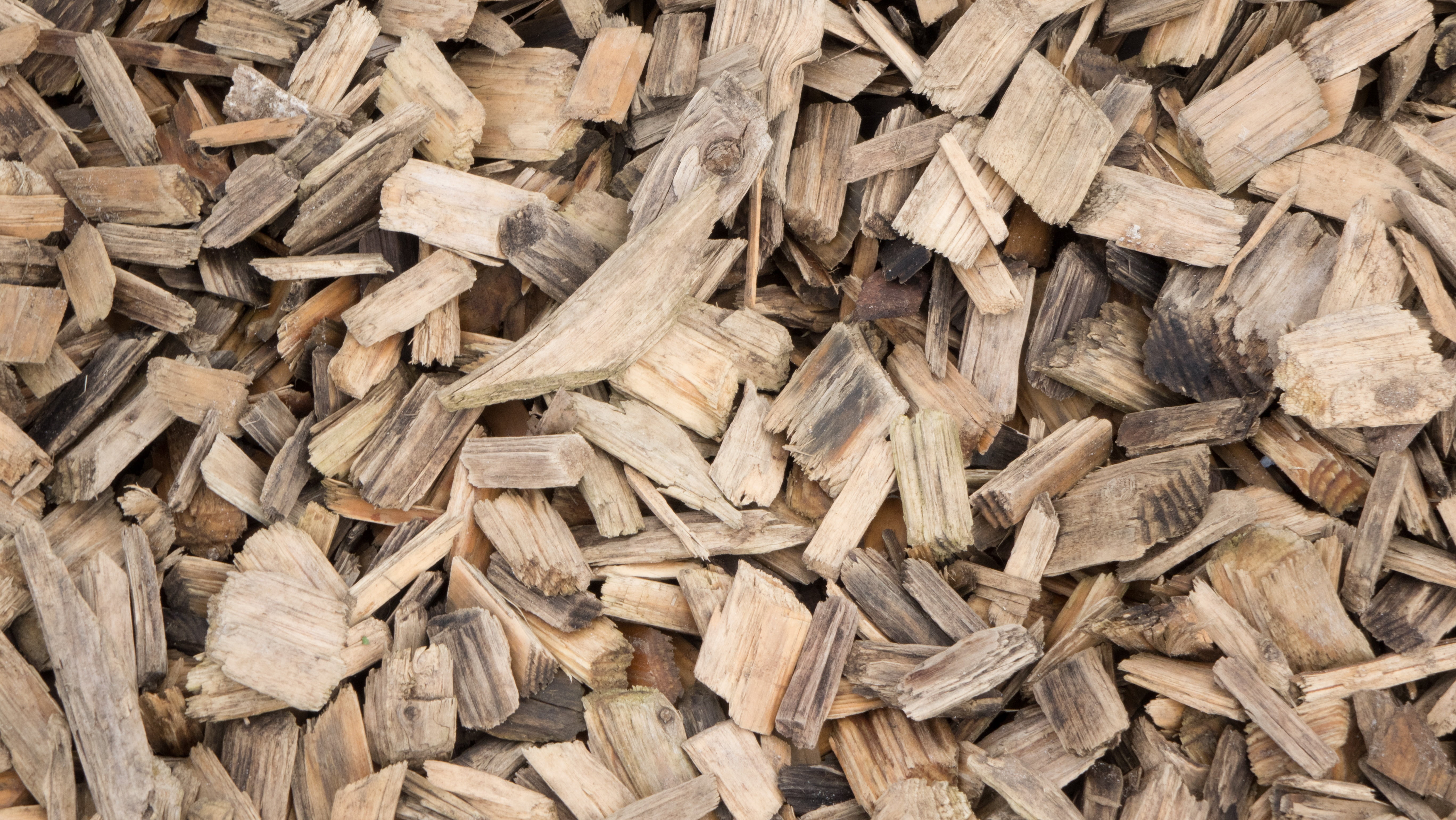 close-up, stack, holzspehne, log, tree, 5K, brown, timber, firewood, spehne, full frame, lumber industry, woodpile, outdoors, abundance, day, wood - material, HD Wallpaper