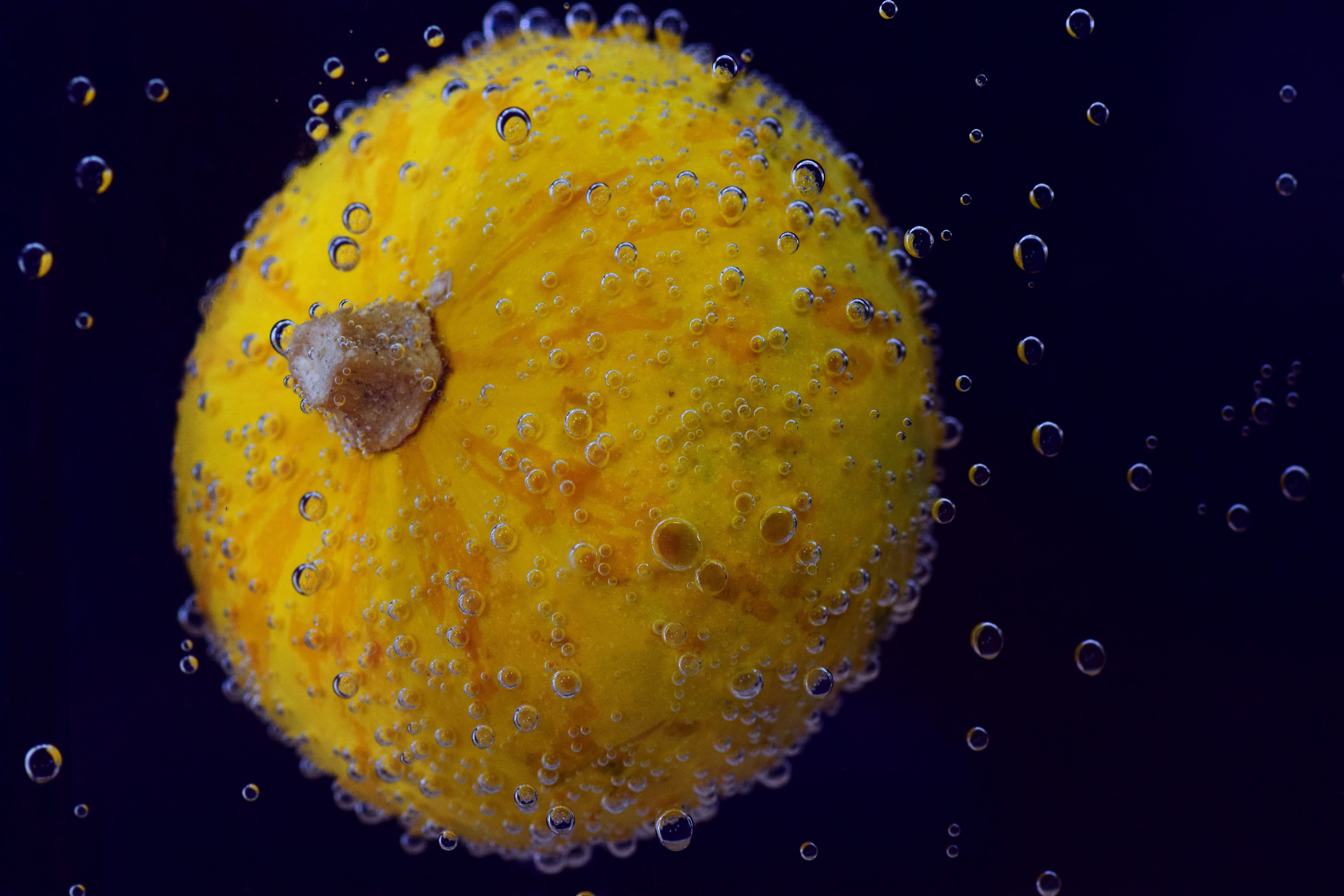 gourd, single object, wellbeing, pumpkin, green, 5K, funny, autumn, halloween, close-up, pumpkin in water, no people, blow, underwater, food and drink, HD Wallpaper