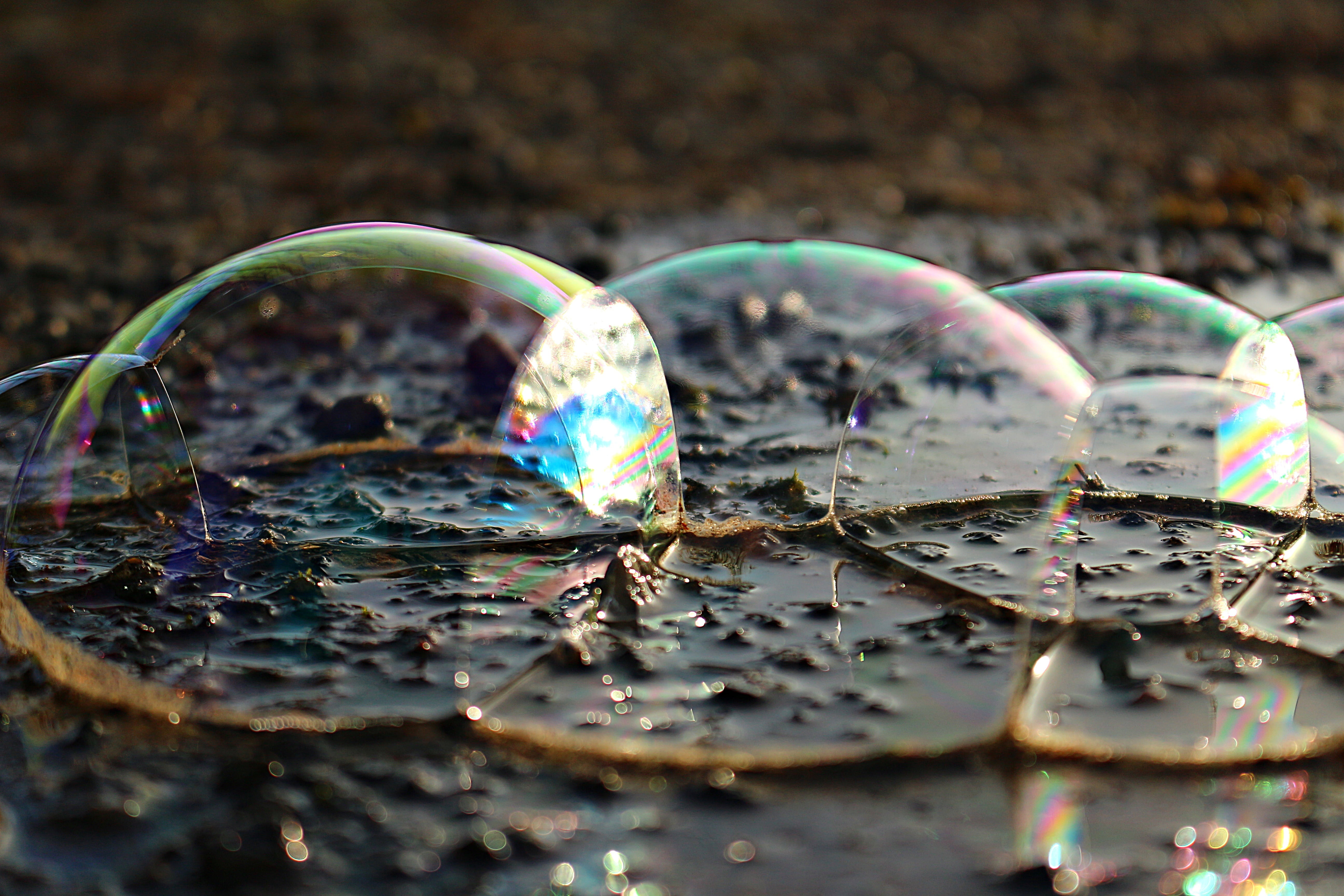 nature, blow, day, bubble, drop, close-up, glass - material, shiny, rippled, fragility, studio shot, soap bubbles, selective focus, no people, air bubbles, HD Wallpaper