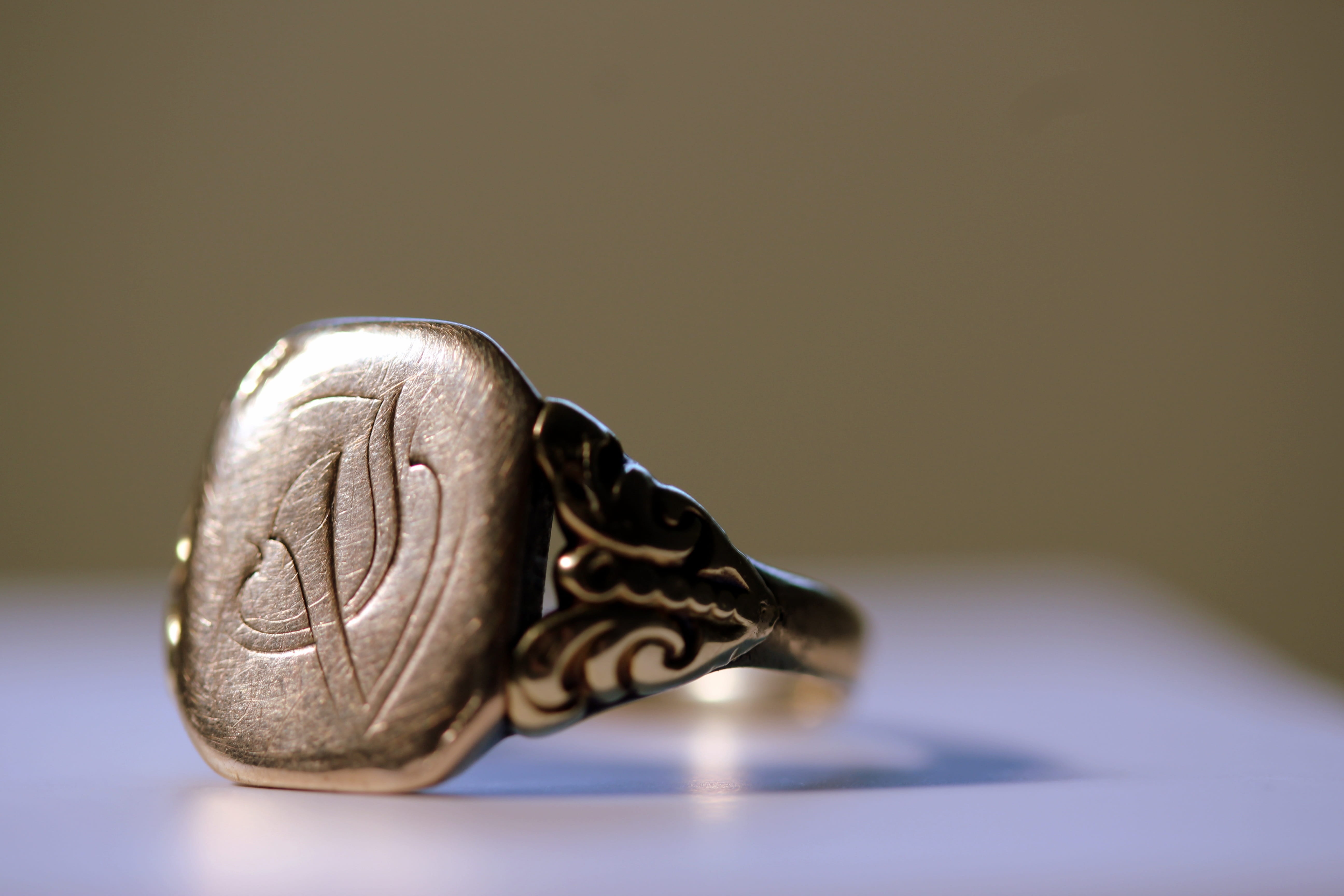 animal body part, reptile, studio shot, goldsmiths, ring, jewellery, jeweler, old, indoors, side view, ornament, representation, initials, simplicity, one animal, HD Wallpaper