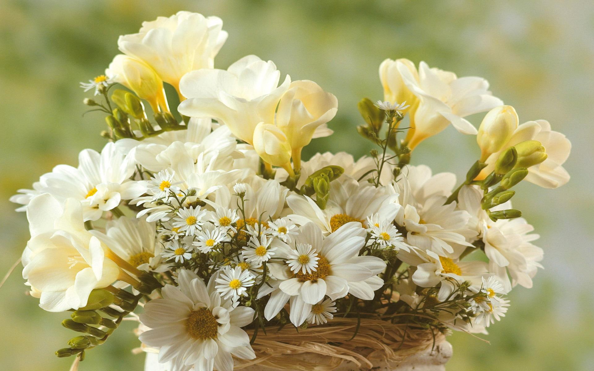 flowers, 1080P, white, nature, bouqet, 3d and abstract, HD Wallpaper