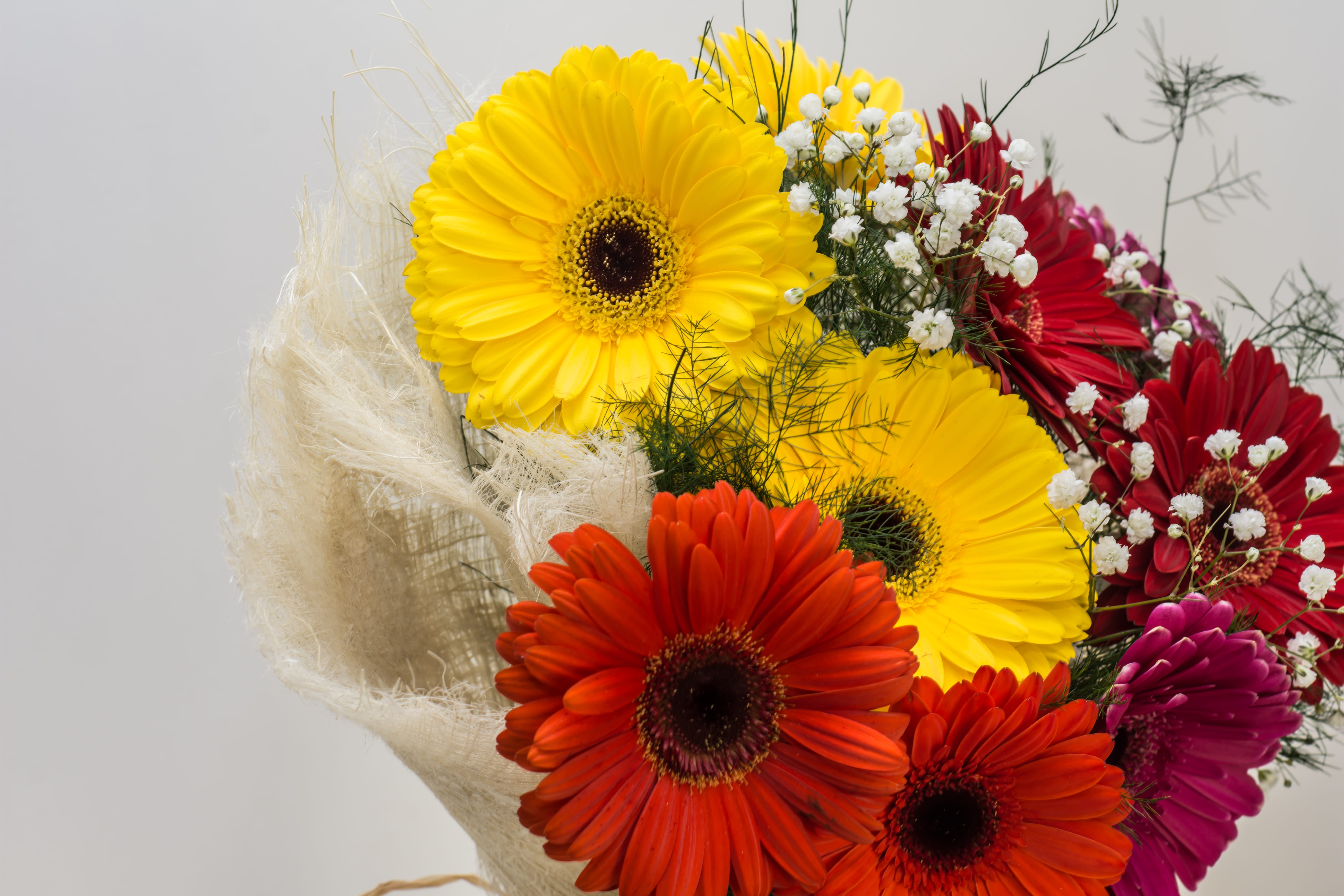 pollen, flower, close-up, outdoors, flower arrangement, flower head, decoration, sunflower, 5K, no people, head, garden, love, romantic, daisy, vulnerability, HD Wallpaper