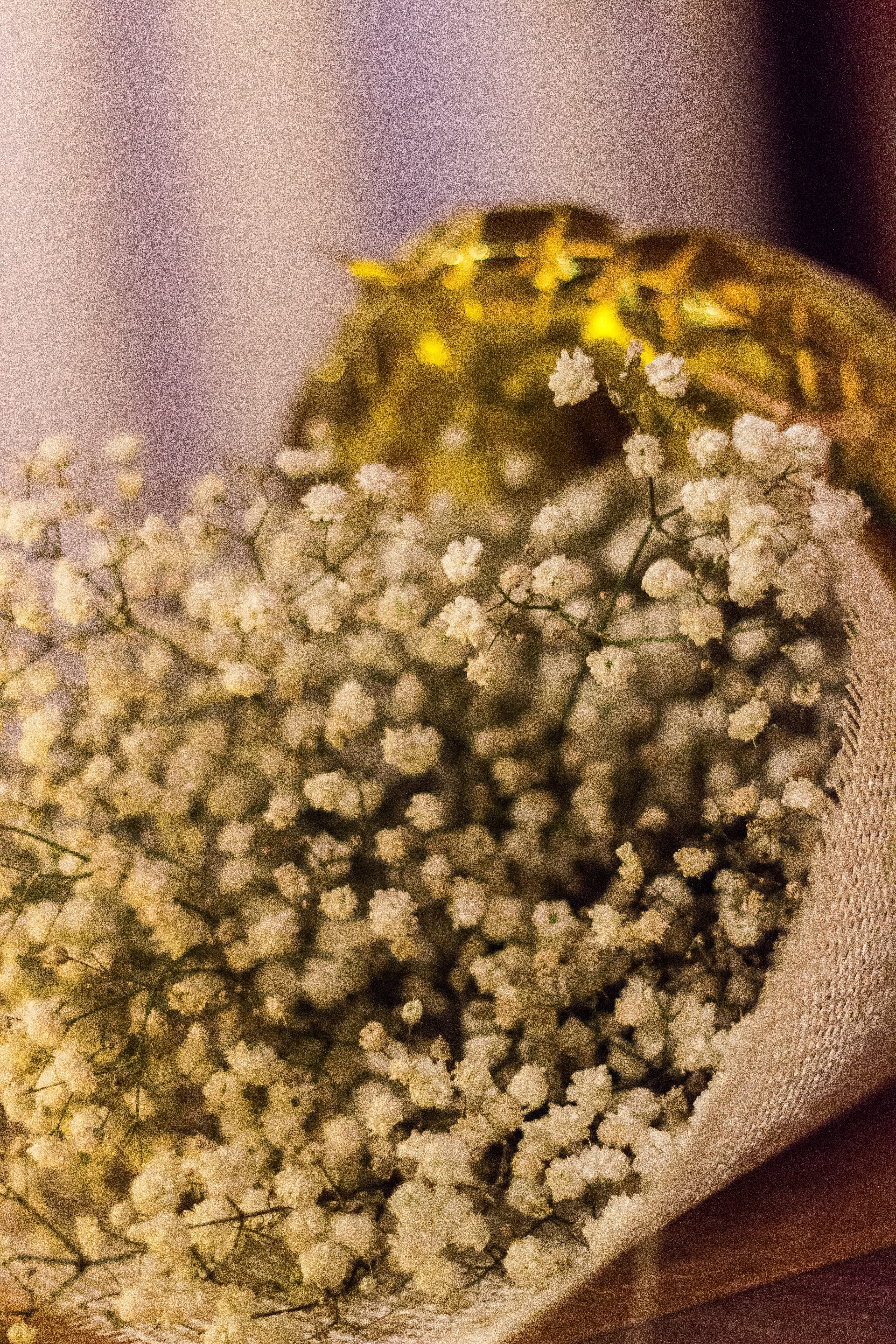 fragility, yellow, 5K, green, sunlight, field, bouqet, tree, flower arrangement, water, gold colored, still life, flowering plant, selective focus, no people, Phone HD Wallpaper