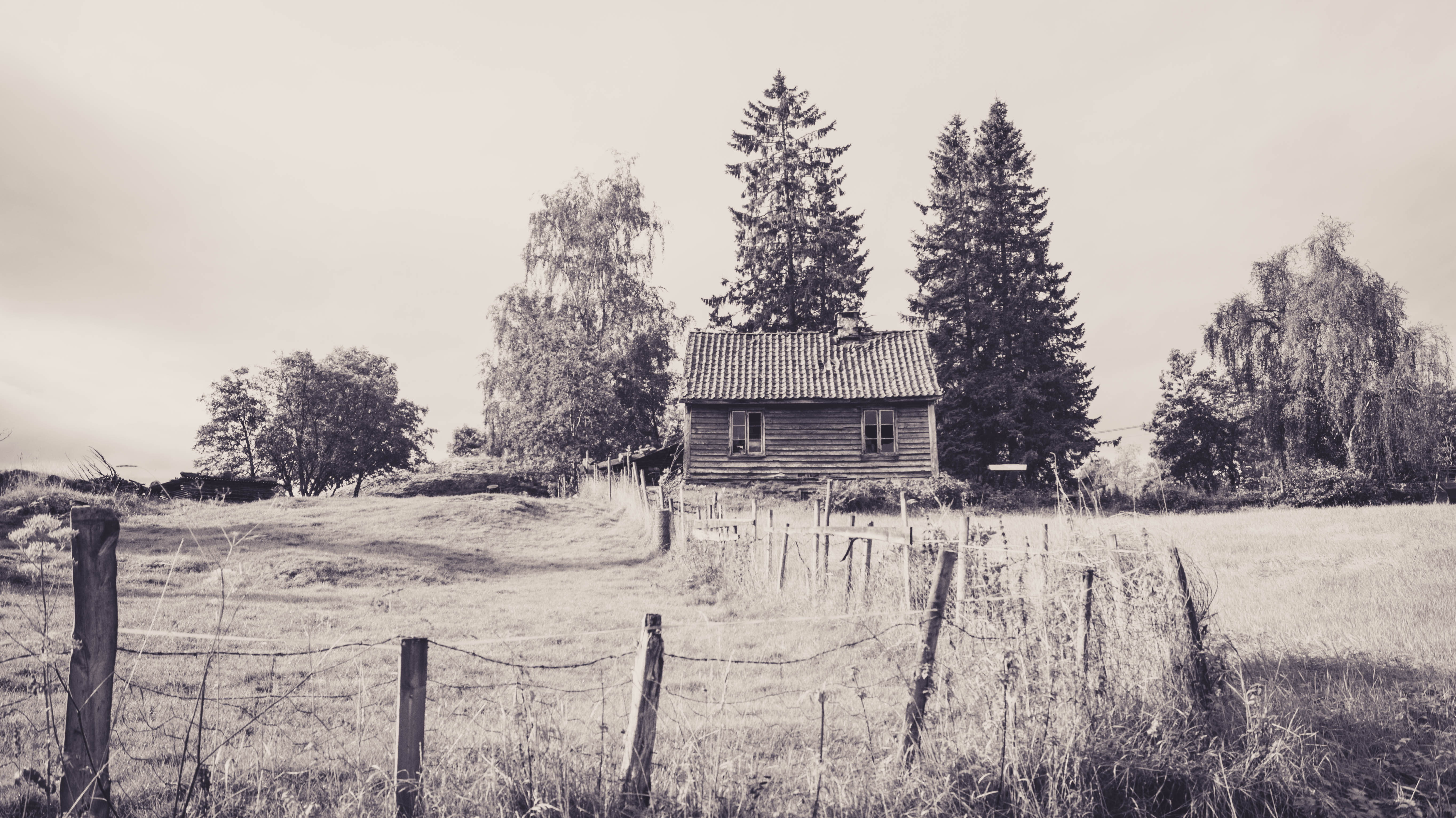 abandoned, landscape, cabin, Norway, sepia, 5K, fence, forest, HD Wallpaper