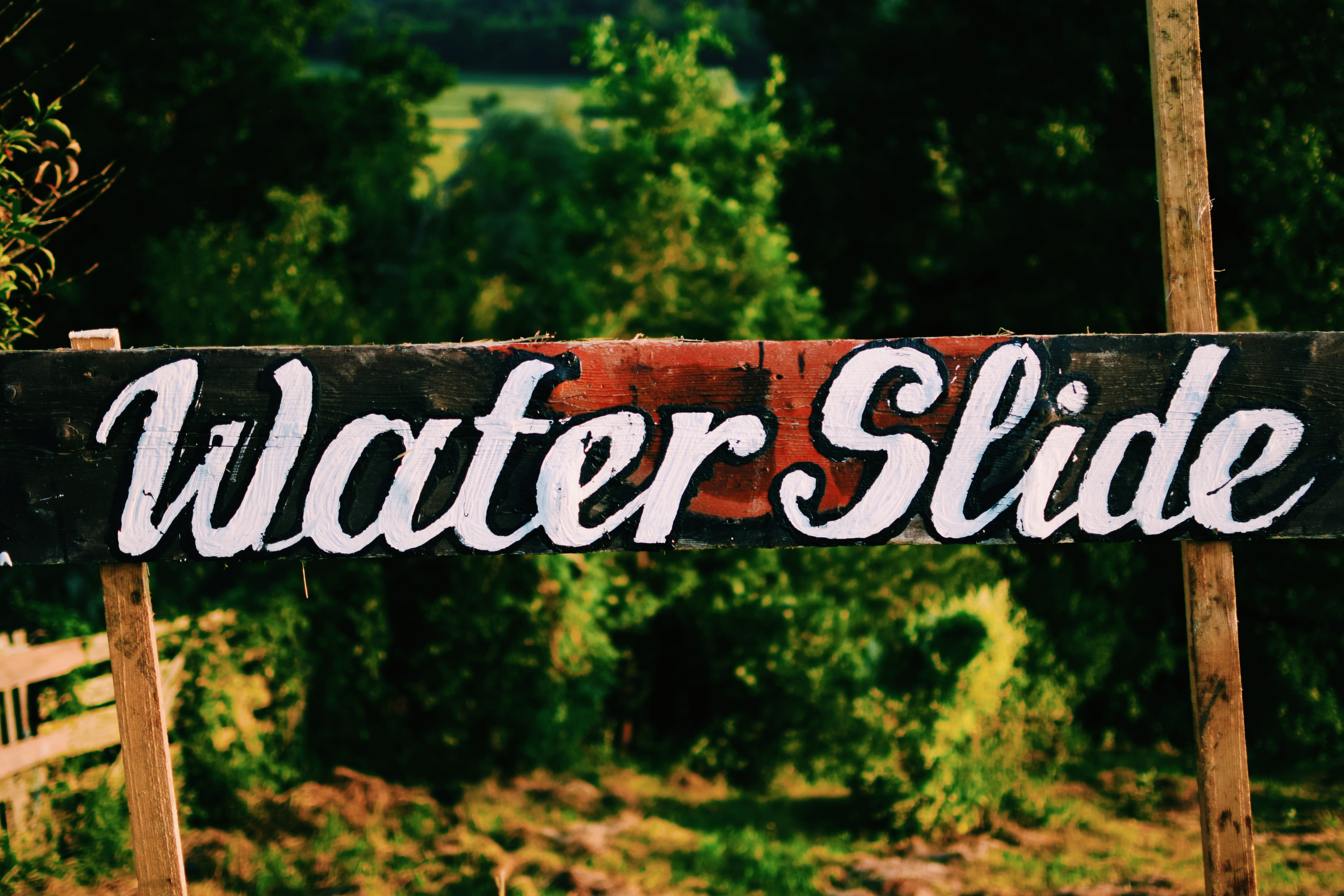 close-up, conifer, capital letter, sign, fun, western script, hosman, tree, outdoor, communication, woodland, plant, wood - material, yew, script, white, HD Wallpaper
