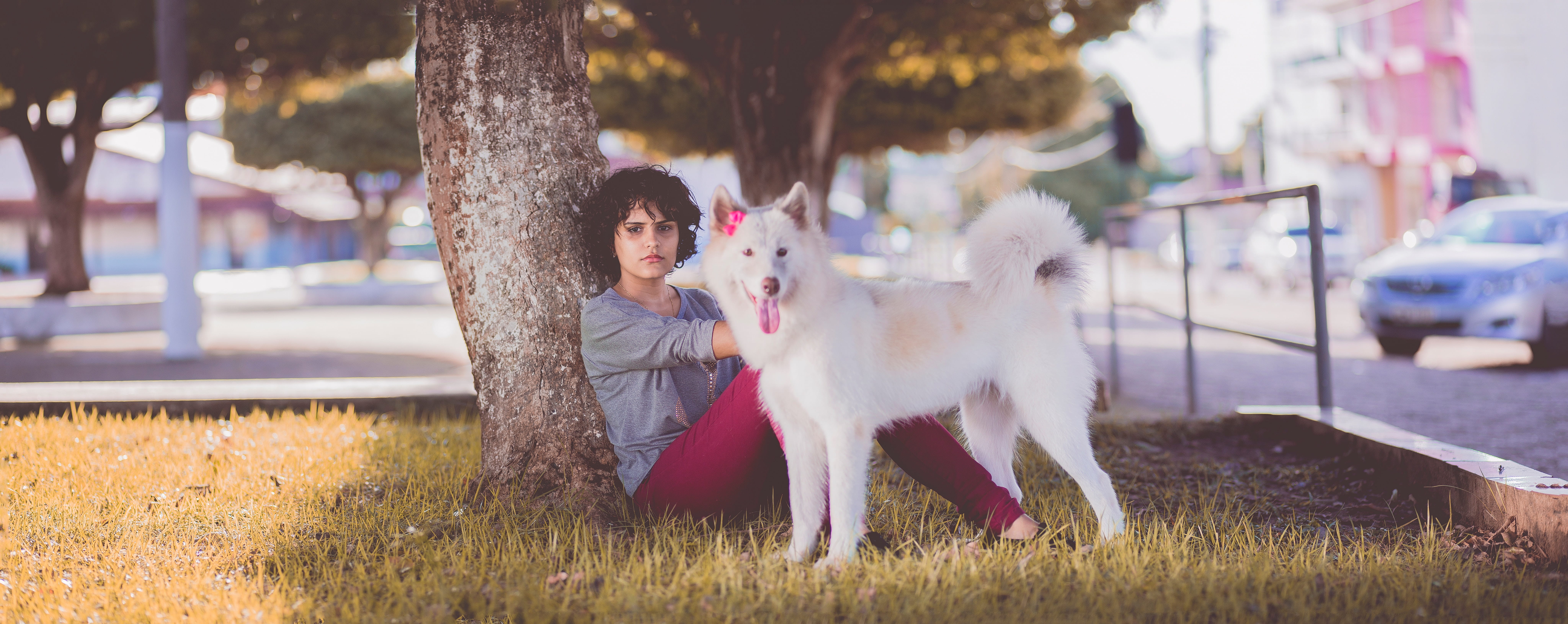 woman, child, walk, park, grass, car, animal themes, tree trunk, people, sit, white, plant, domestic animals, cc0, dog, canine, happiness, pets, shadow, HD Wallpaper