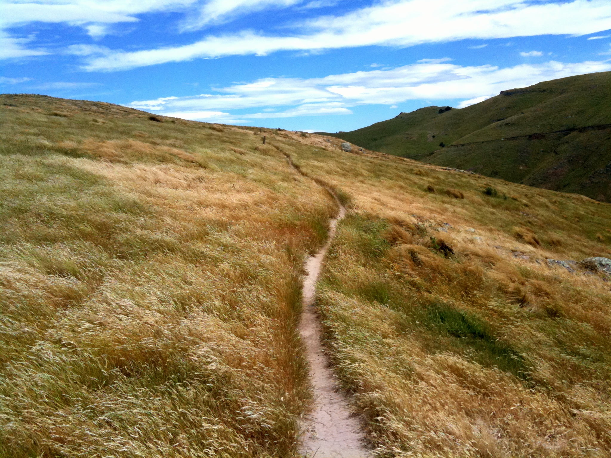 photography, hiking, Port Hills, Mountain Bike, godley head, 1080P, nz, summer, mountain, mountain biking, horseback riding, trails, grass, scenics, Christchurch, HD Wallpaper