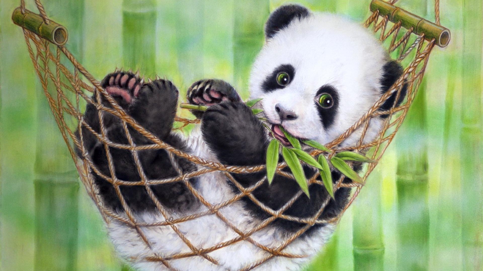 bamboo - plant, vertebrate, 1080P, panda - animal, young animal, no people, branch, nature, animal, day, plant, animal wildlife, animals in the wild, animal themes, HD Wallpaper