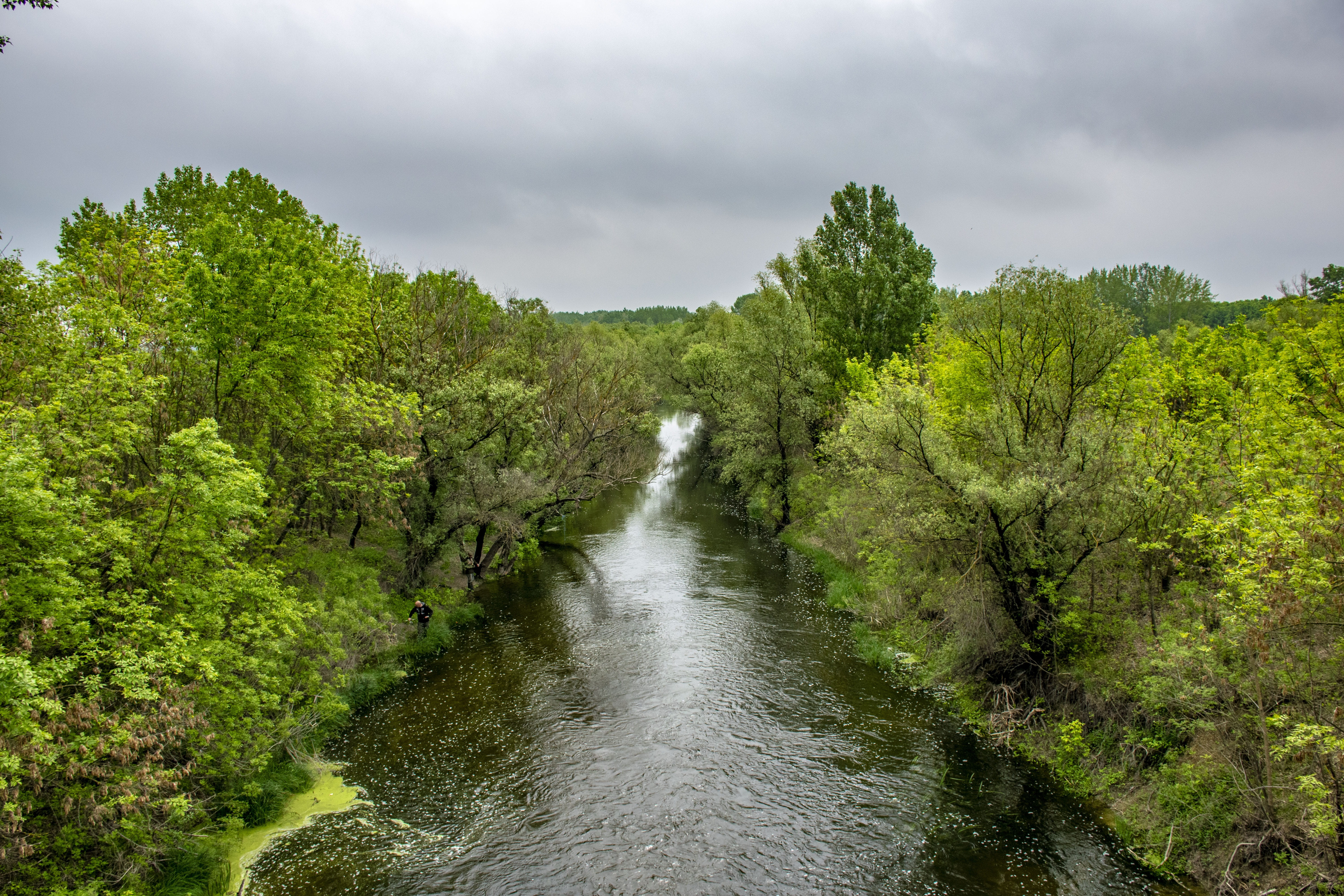 river, flowing, tranquility, sky, growth, day, szolnok, tranquil scene, scenics - nature, green, forest, cloud - sky, no people, non-urban scene, jumbled river, HD Wallpaper