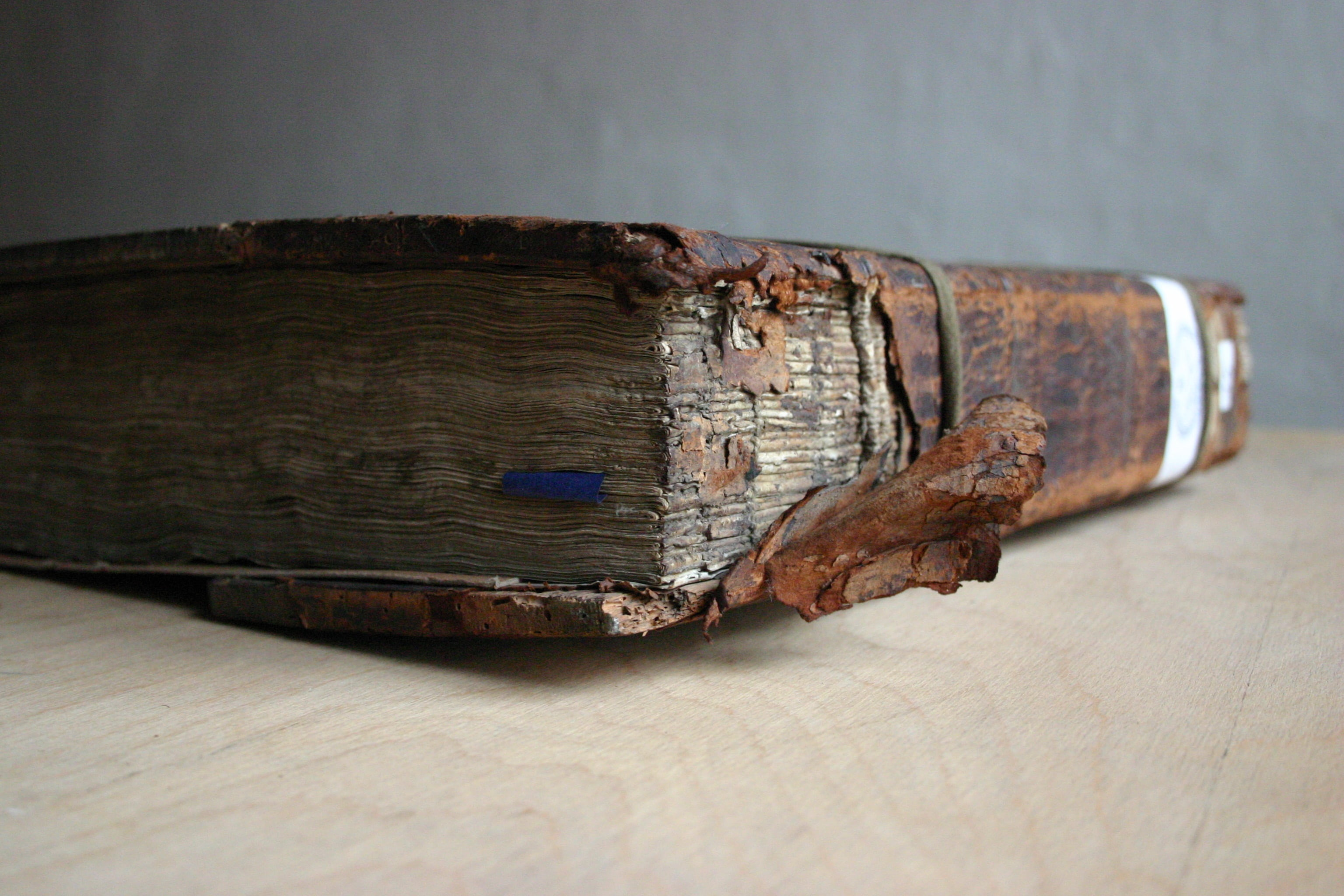 brown, gutenberg, indoors, book, close-up, business, wisdom, johannes gutenberg, weathered, table, publication, data, finance, literature, still life, no people, HD Wallpaper