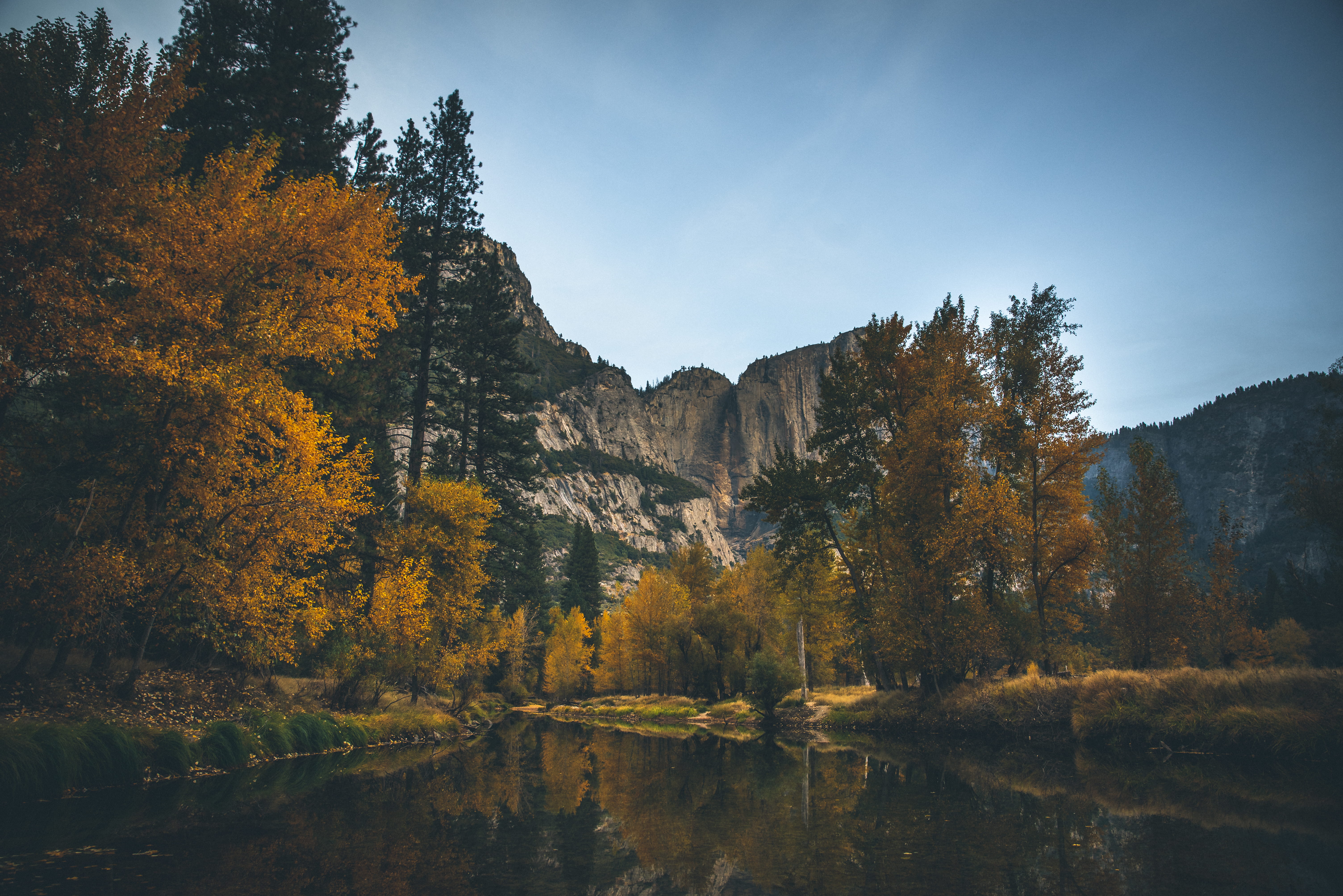 5K, star, explore, adventure, green, lake, moody, no people, tree, land, night, wanderlust, winter, scenics - nature, change, forest, californium, pine woodland, HD Wallpaper