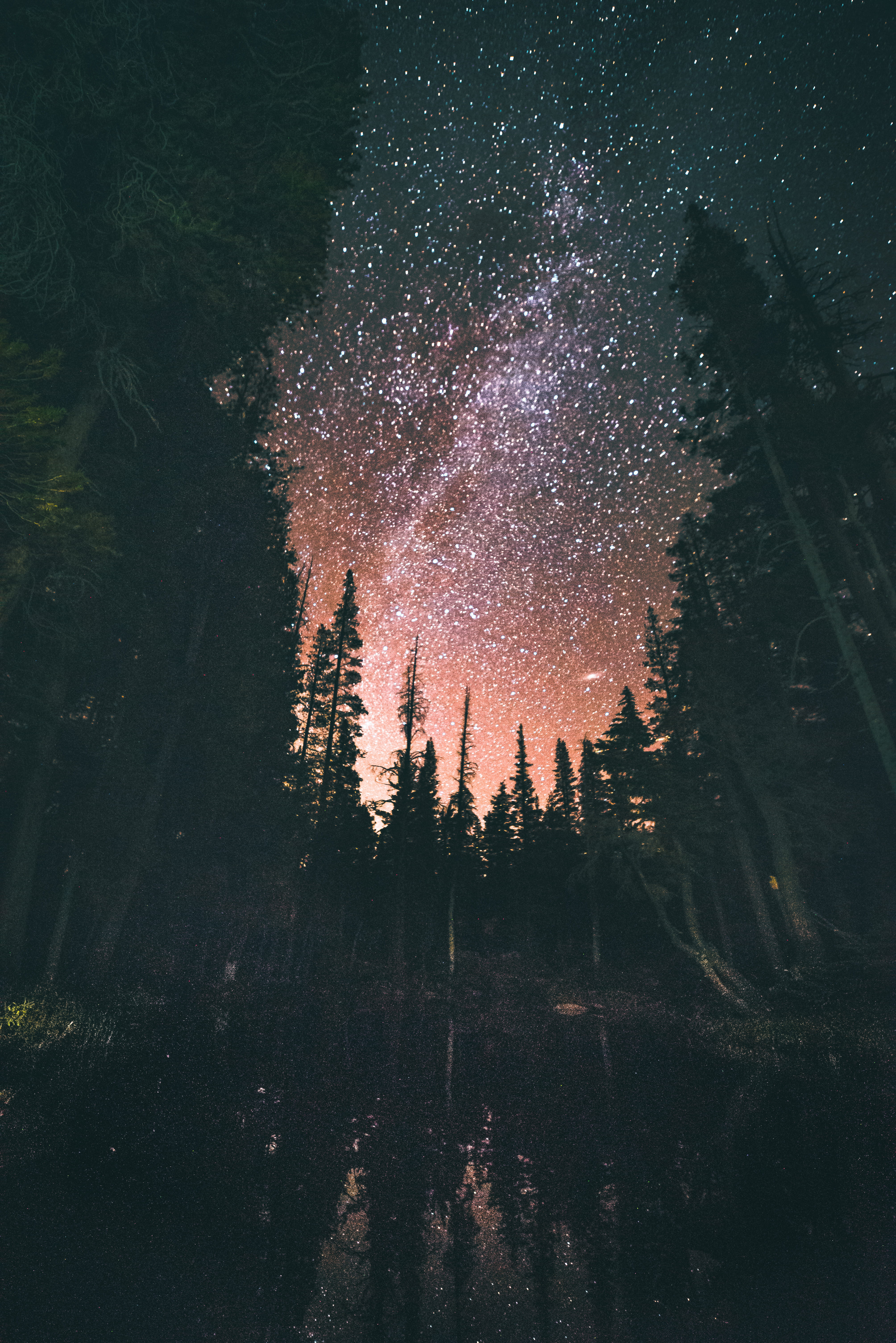 wanderlust, star Shape, no People, adventure, dark, nature, mountain, light - Natural Phenomenon, 5K, green, night, nebula, outdoors, woodland, Phone HD Wallpaper