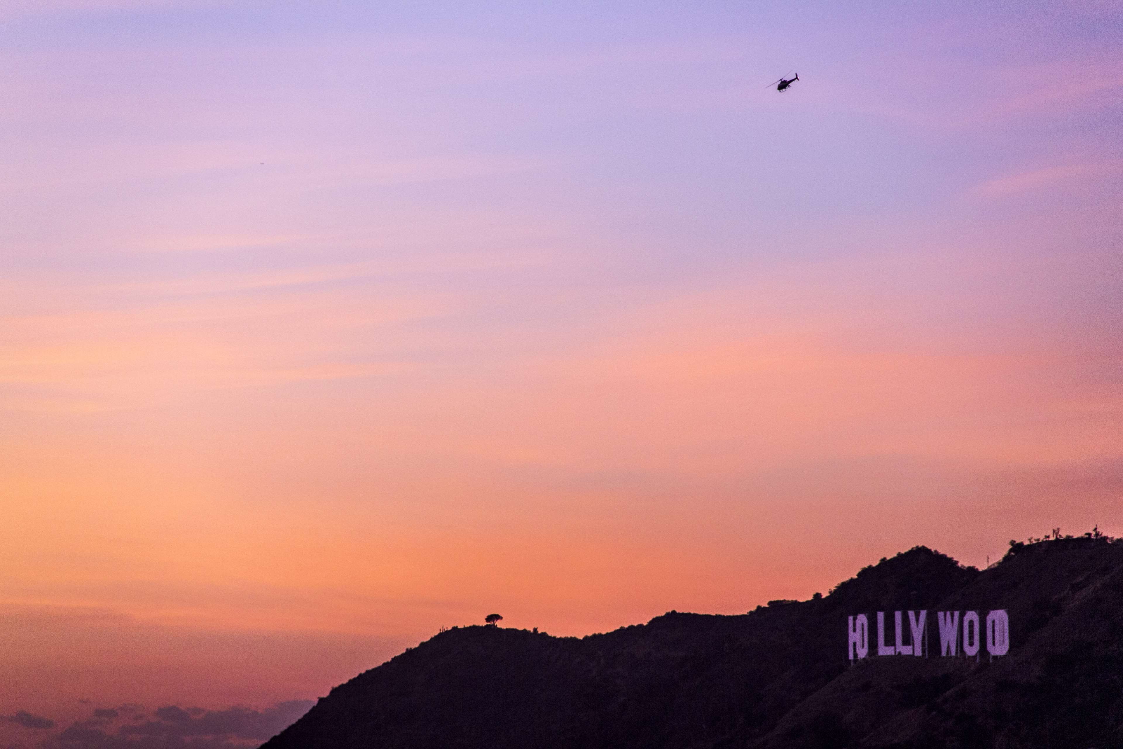 hollywood, bird, tranquil scene, hollywood hills, orange, vertebrate, travel, nature, low angle view, sunset, animal themes, la, view, los angeles, evening sky, HD Wallpaper