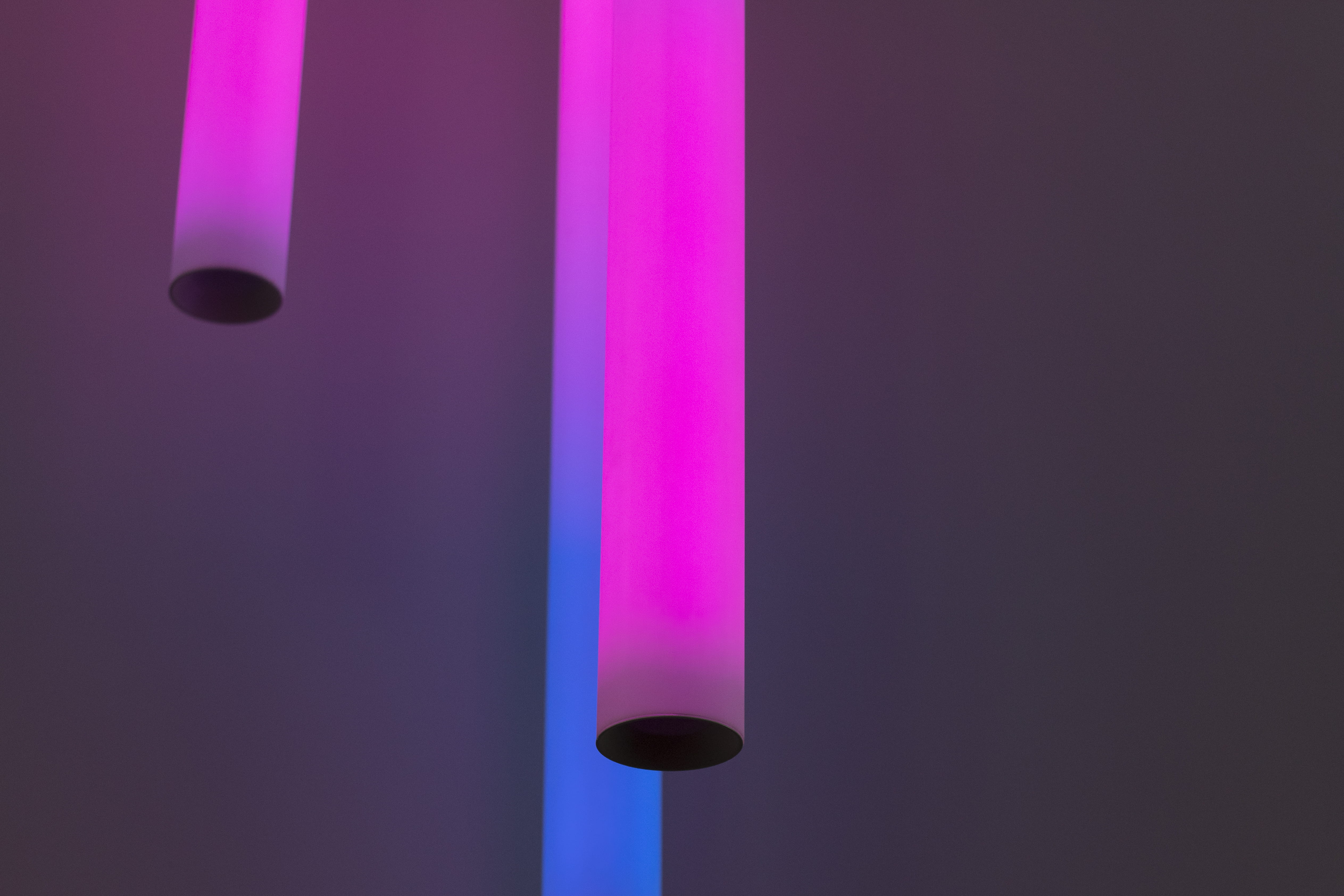 night, indoors, technology, purple, connection, lighting equipment, backgrounds, no people, neon, fluorescent light, electrical equipment, tube, light, HD Wallpaper