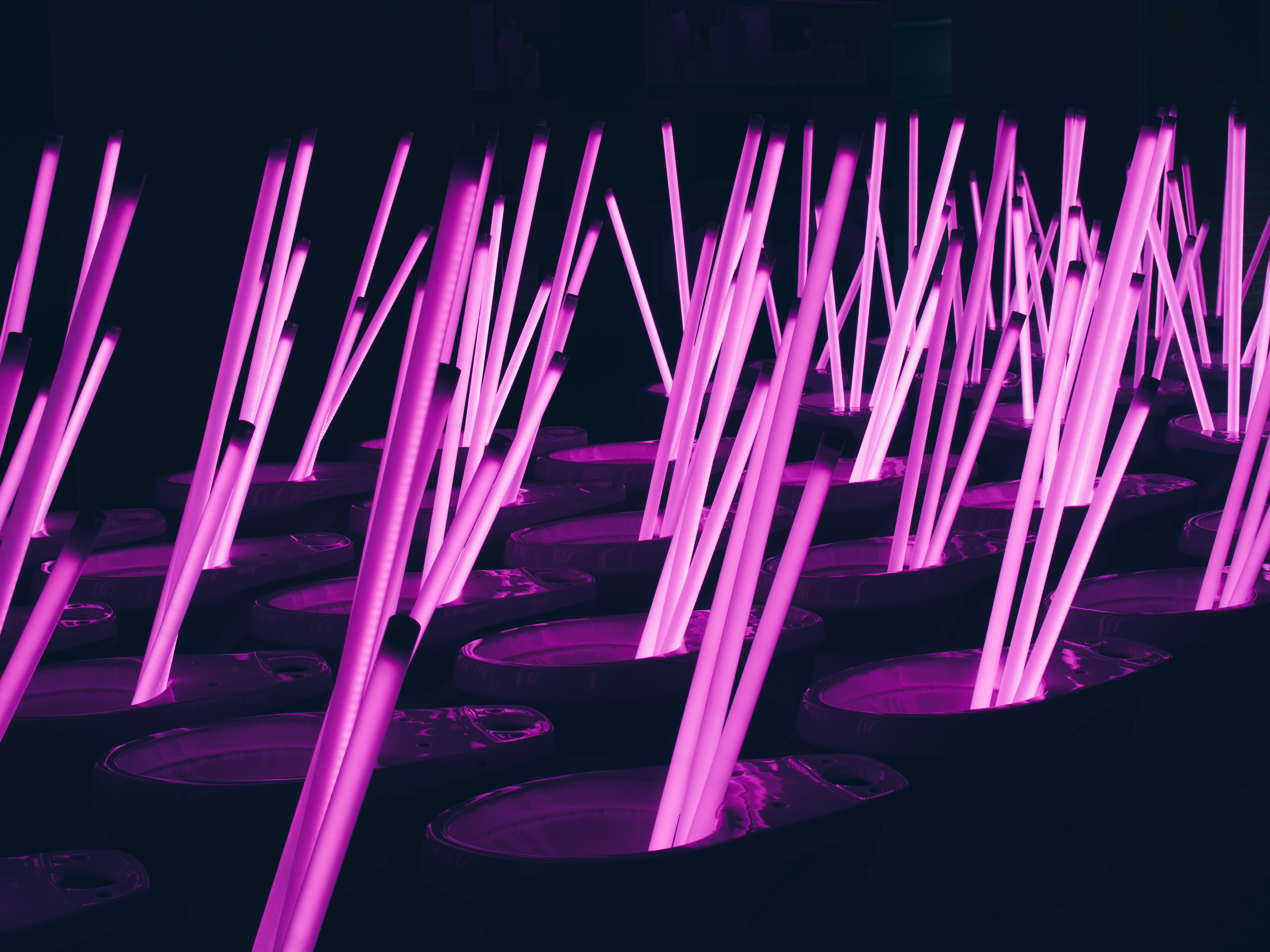 architecture, studio shot, light, art, illuminated, pink, indoors, motion, south korea, toilets, pattern, long exposure, light - natural phenomenon, wc, HD Wallpaper