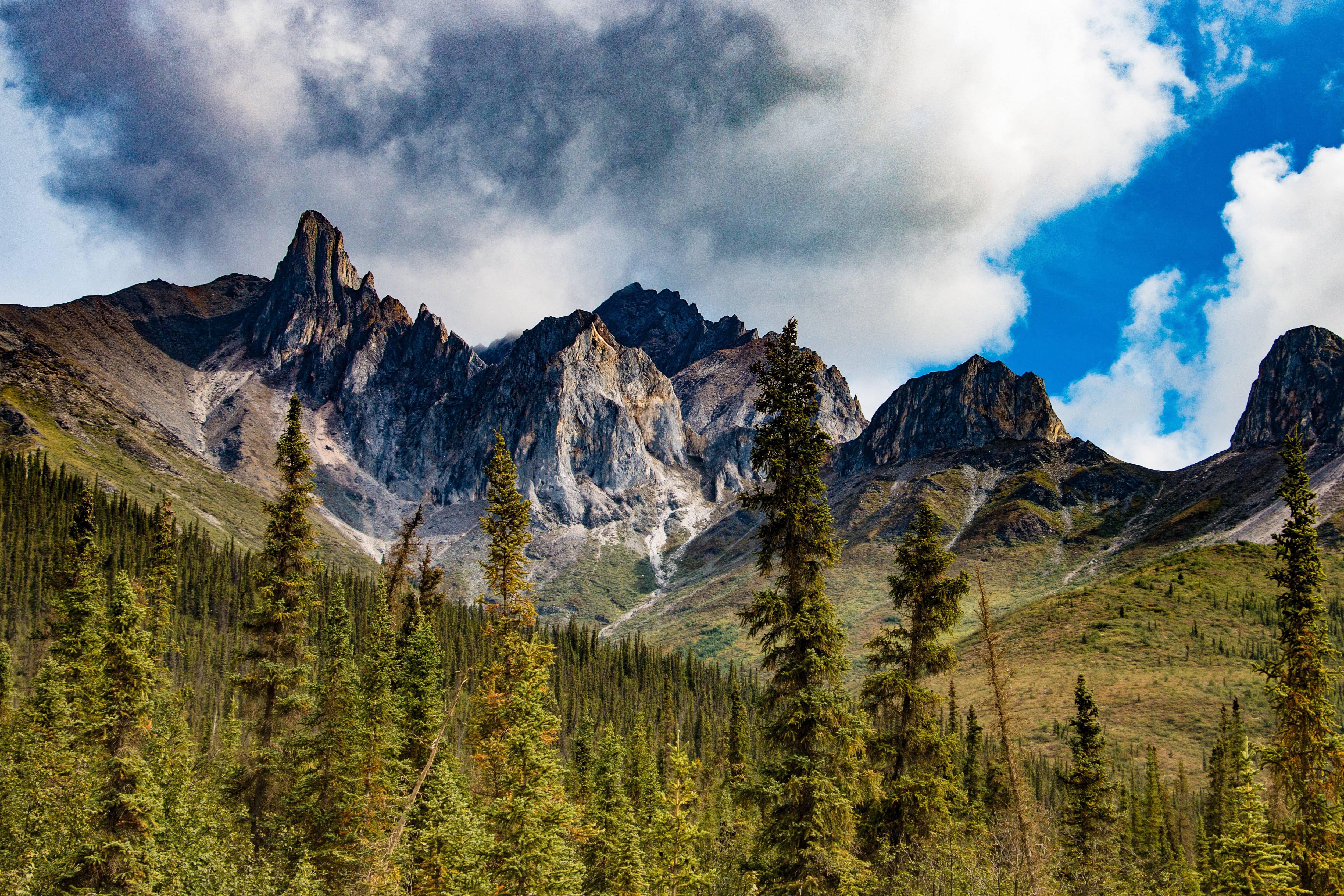 formation, color Image, remote, forest, landscape, national Park, coniferous tree, mountains, summer, alberta, clouds, cloud - Sky, dolomites, tree, environment, HD Wallpaper