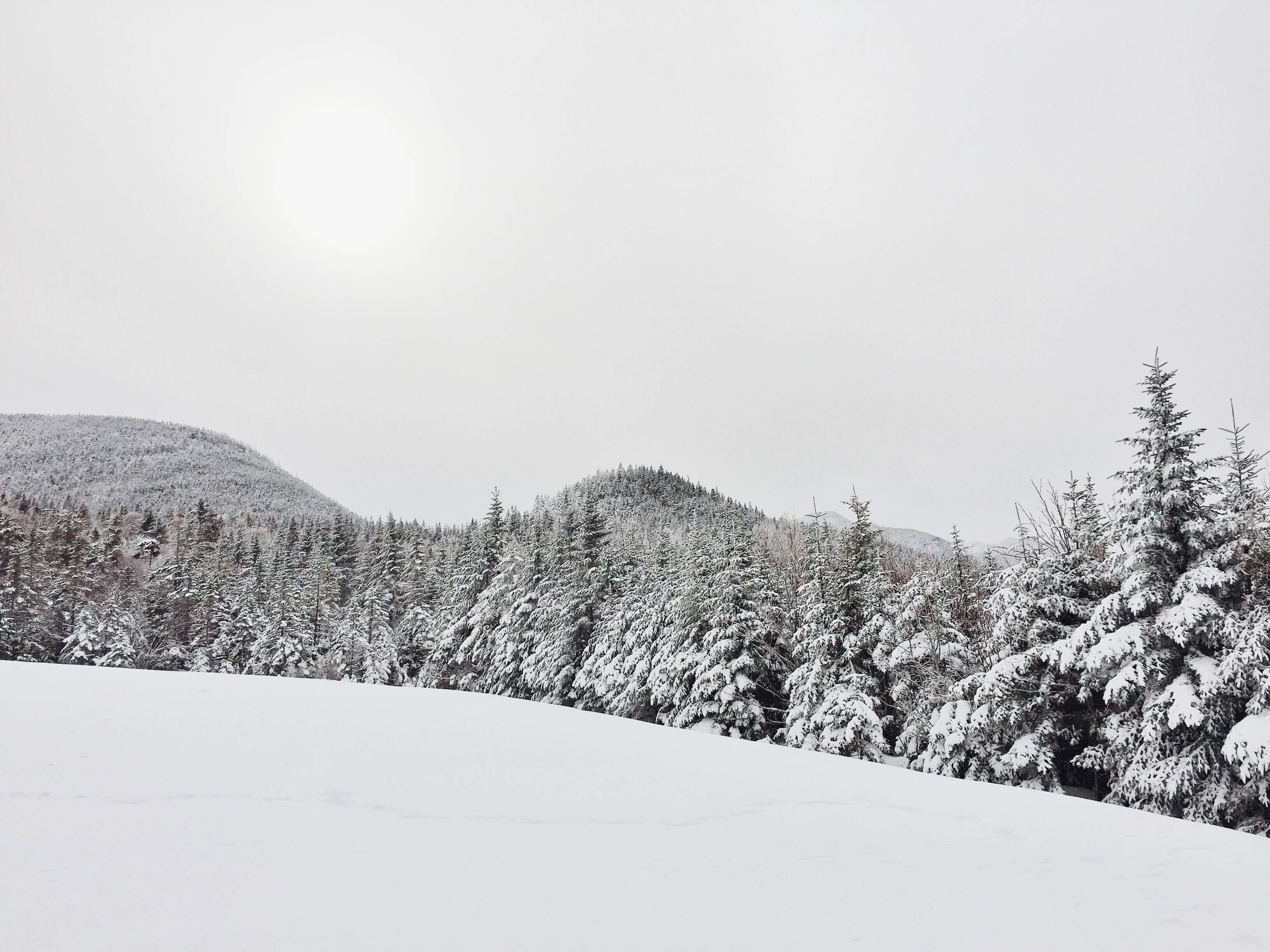 nature, outdoors, landscapes, tranquil Scene, pine tree, frozen, daytime, snowing, non-Urban Scene, mountain, 2K, snowcapped mountain, cold - Temperature, HD Wallpaper