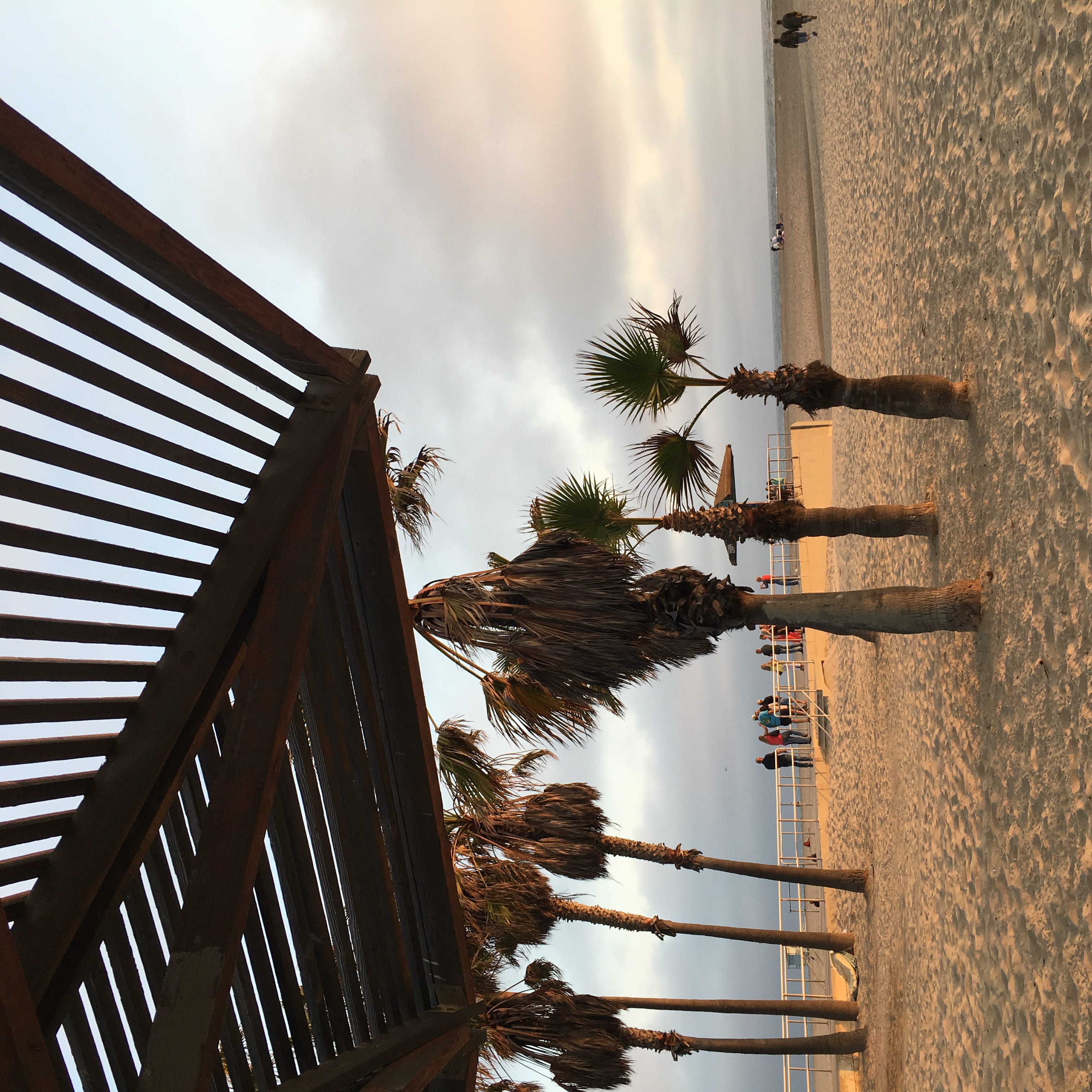 building, 2K, tropical climate, evening, cloud - sky, los angeles, nature, low angle view, break, outdoors, palm trees, architecture, california, beach, Phone HD Wallpaper