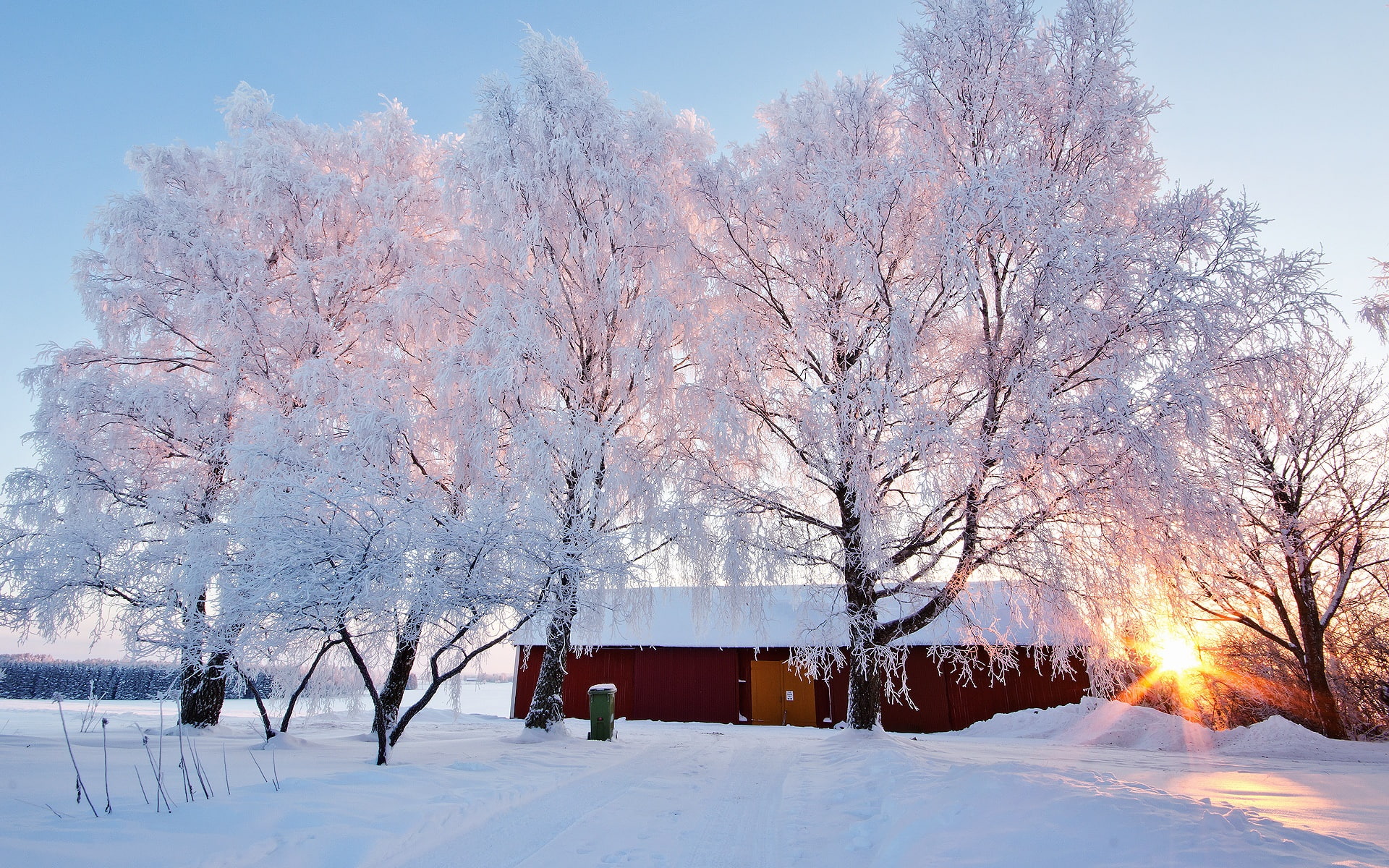 tree, Landscape, Snowy, Sunlight, Winter, House, snow, 1080P, covered, bare, Beautiful, Trees, HD Wallpaper
