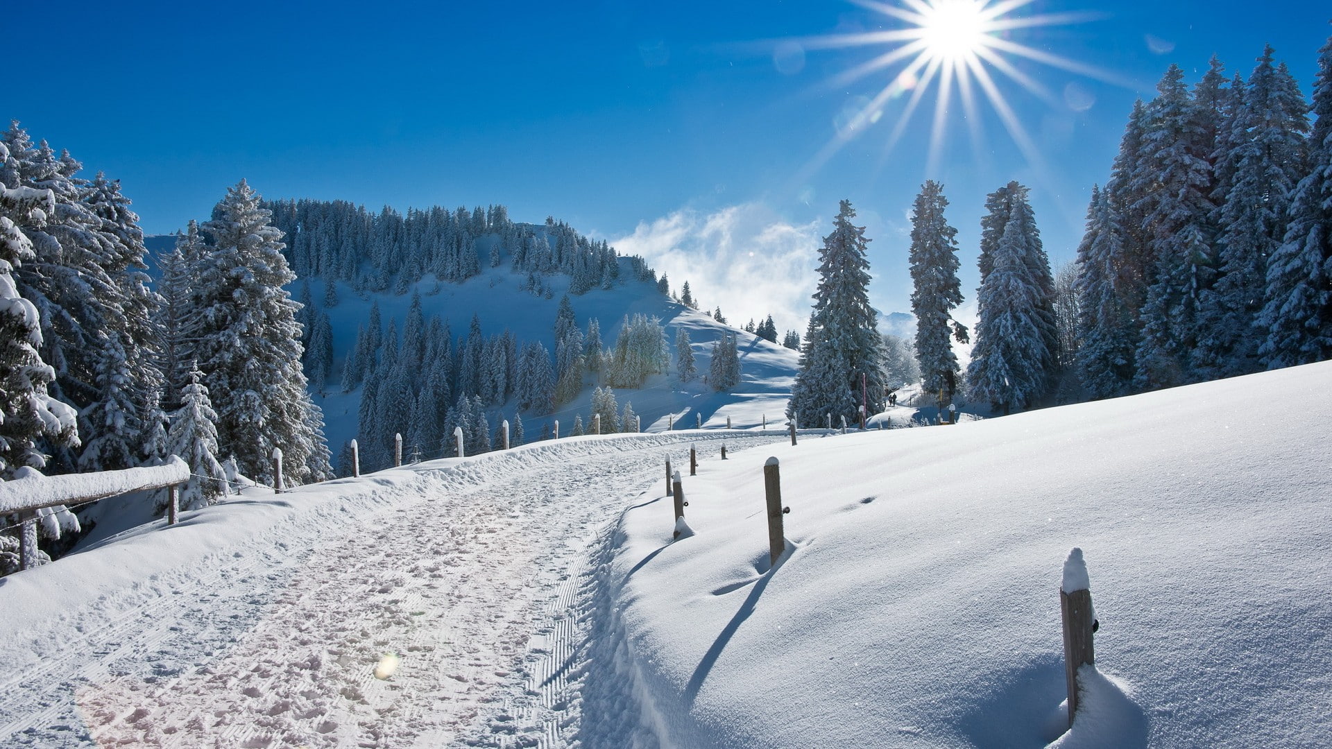 1080P, road, trees, nature, snow, hd, covered, winter, field, sunlight, HD Wallpaper