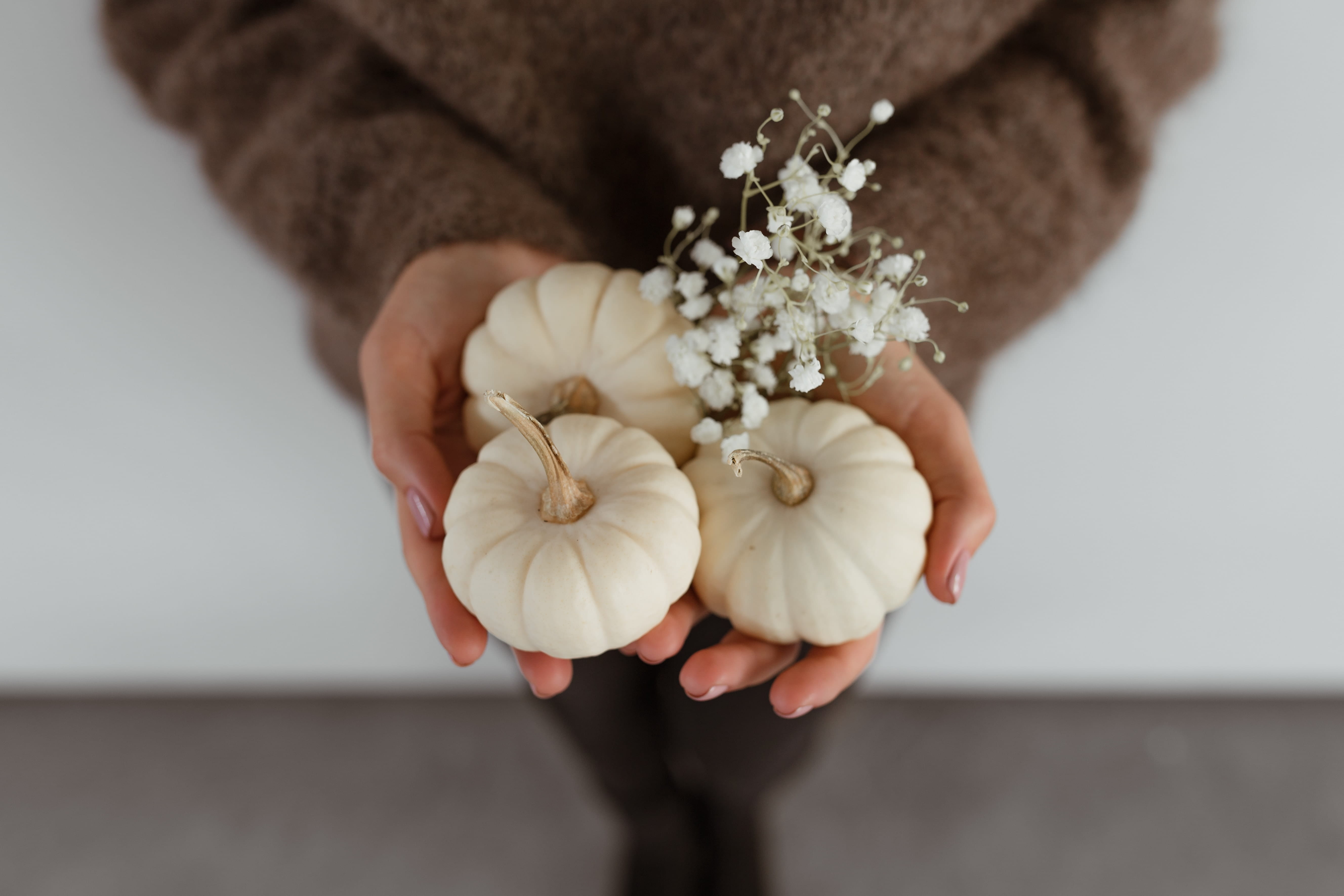 human body part, 5K, mini pumpkin, beauty in nature, focus on foreground, midsection, flower head, adult, fragility, autumn, halloween, vulnerability, HD Wallpaper