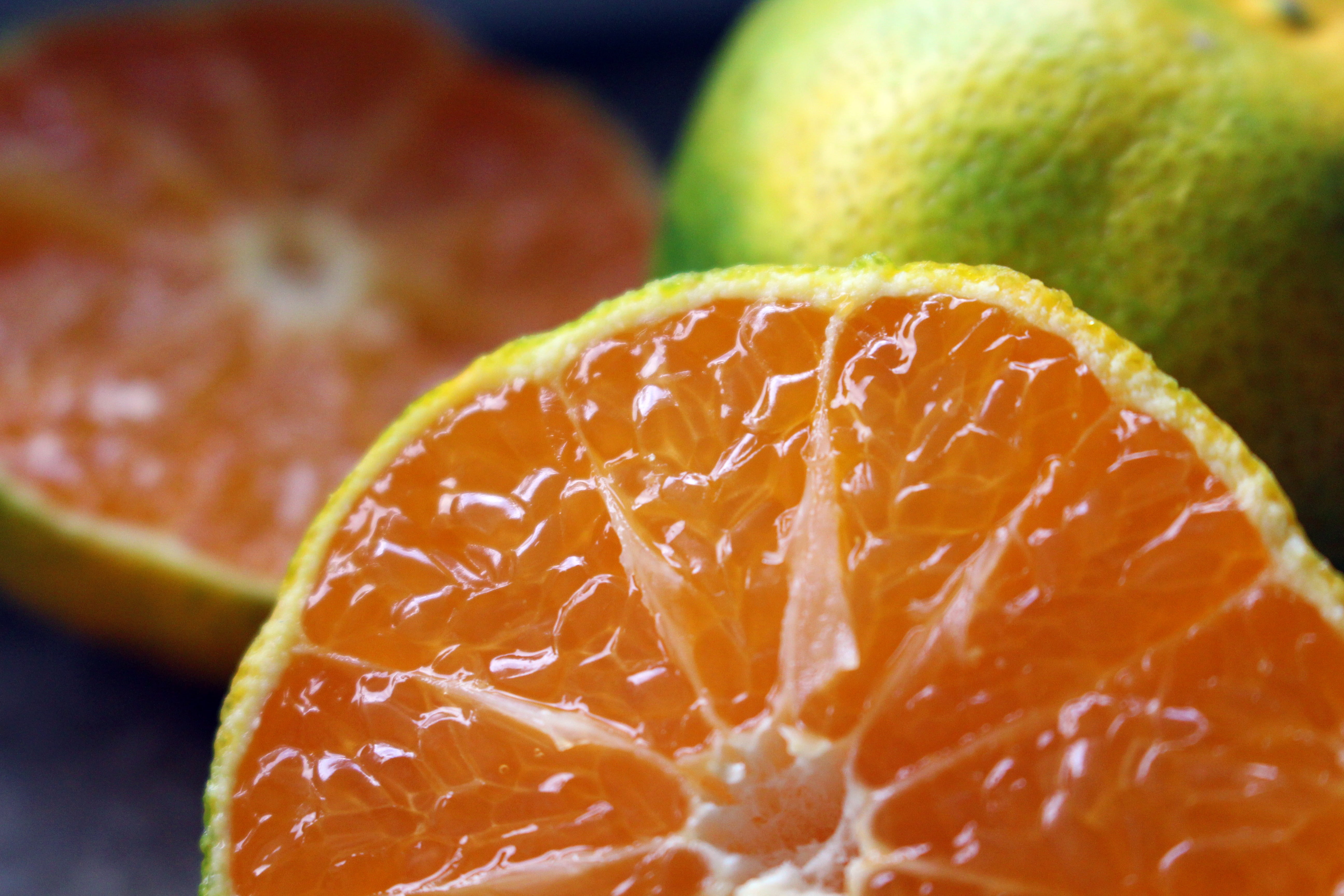 frisch, dieting, studio shot, healthy lifestyle, close-up, antioxidant, turkish, slice, yellow, food, close, fruit, turkey, organic, orange - fruit, healthy eating, HD Wallpaper
