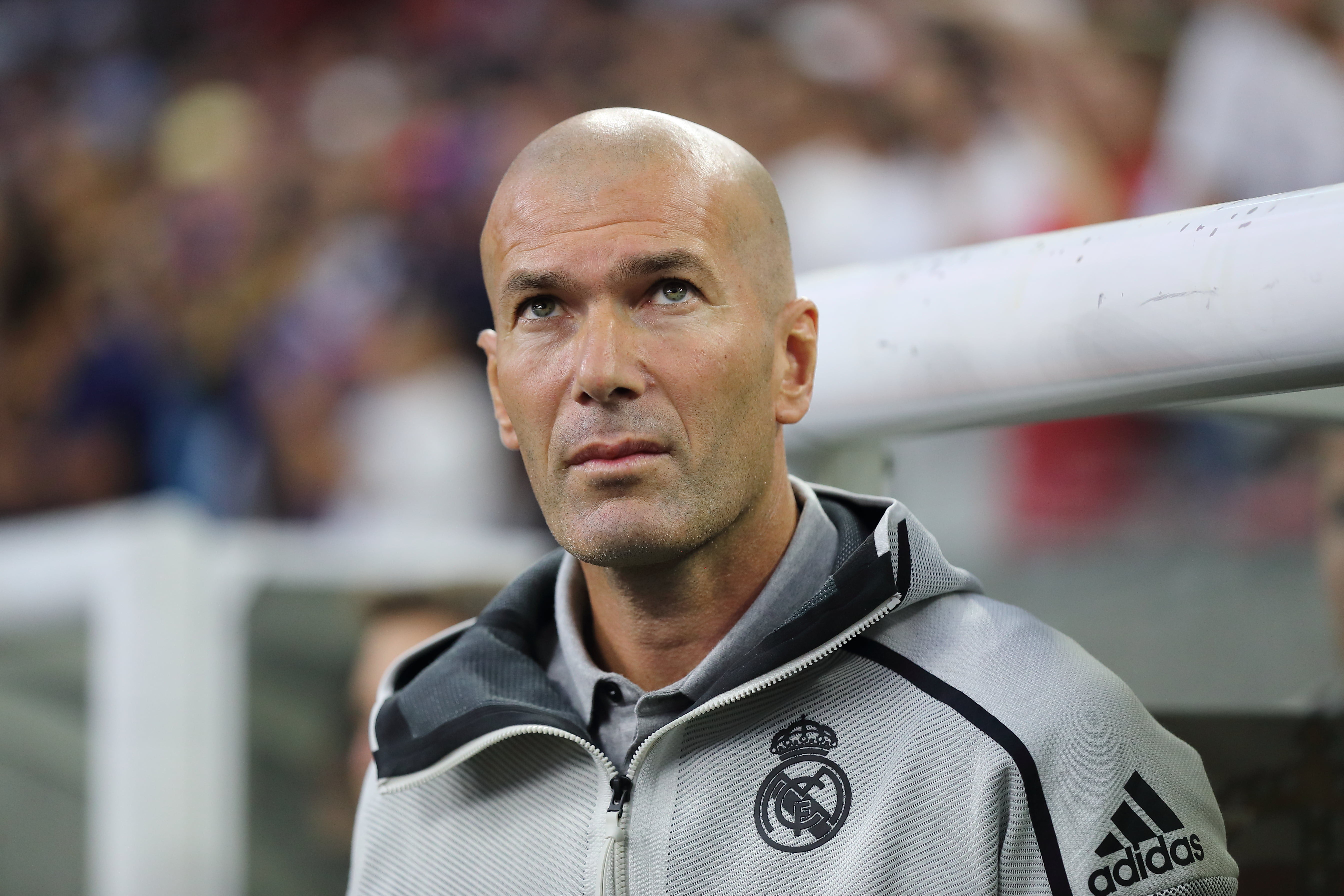 French, Soccer, 5K, Zinedine Zidane, Real Madrid C.F., HD Wallpaper