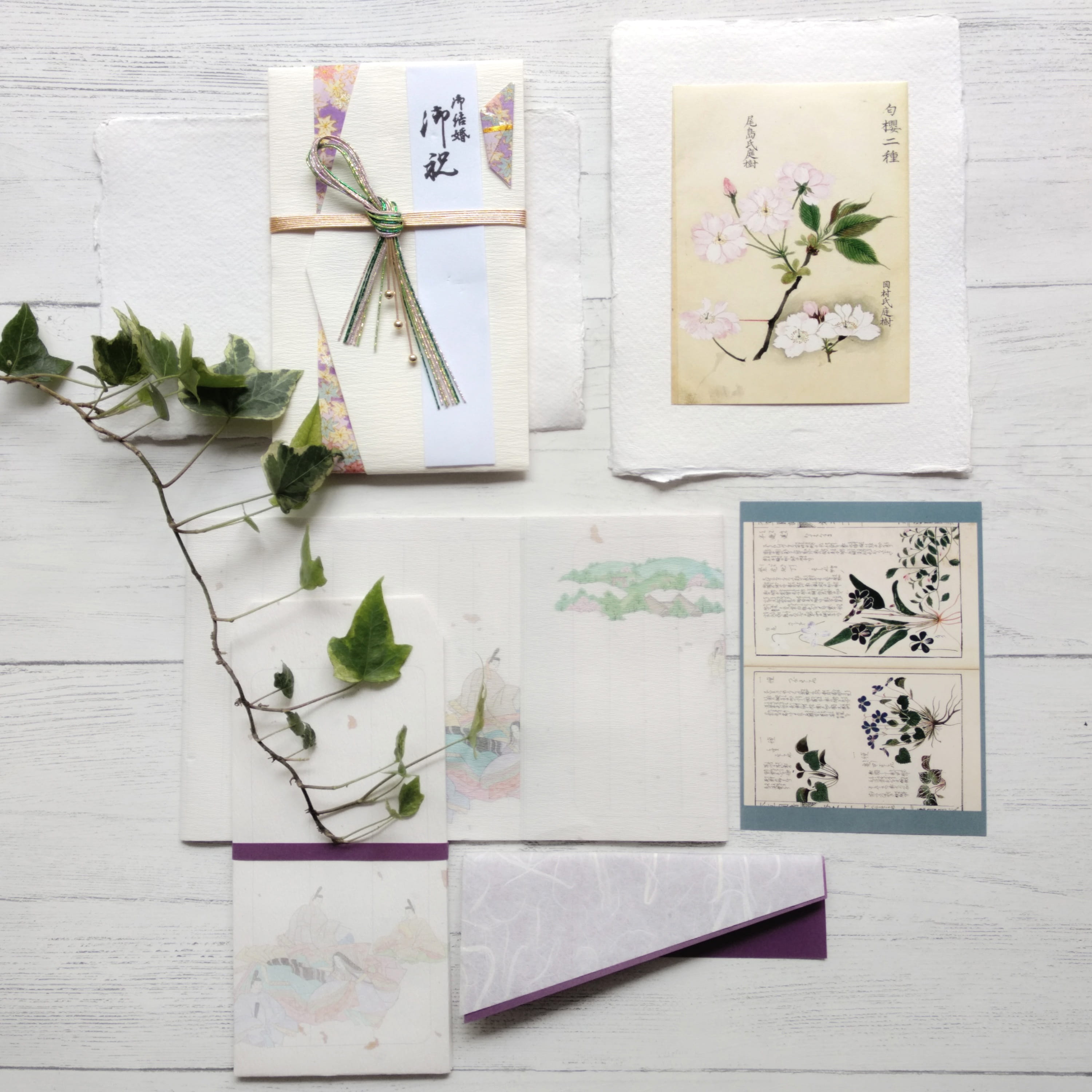 japanese illustration, japanese letters, washi papers, plant, no people, japanese writing, flowering plant, herb, paper, nature, picture frame, variation, Phone HD Wallpaper