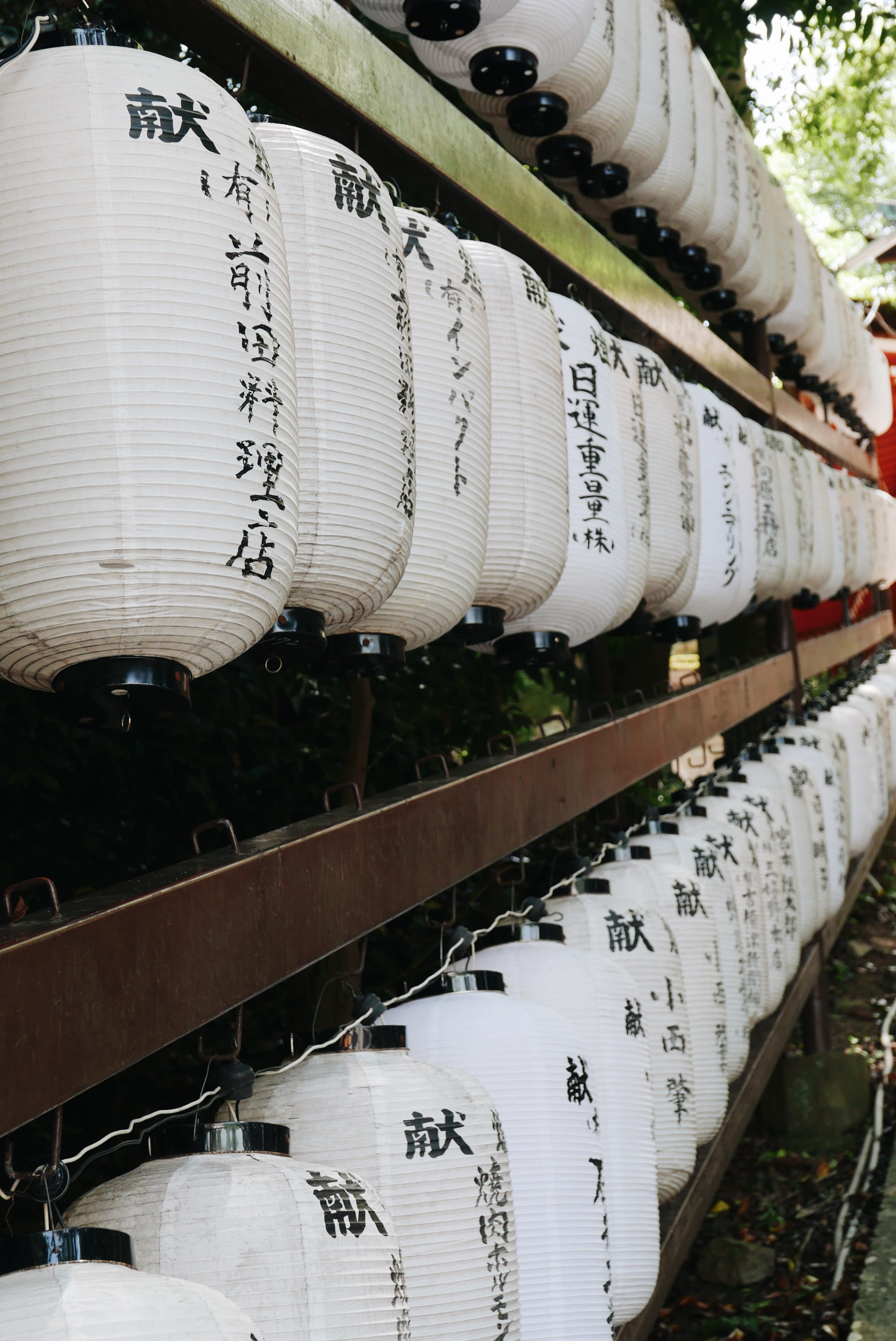 large group of objects, japan, script, arrangement, panasonic, focus on foreground, field, buddhism, day, plant, outdoors, text, close-up, abundance, Phone HD Wallpaper