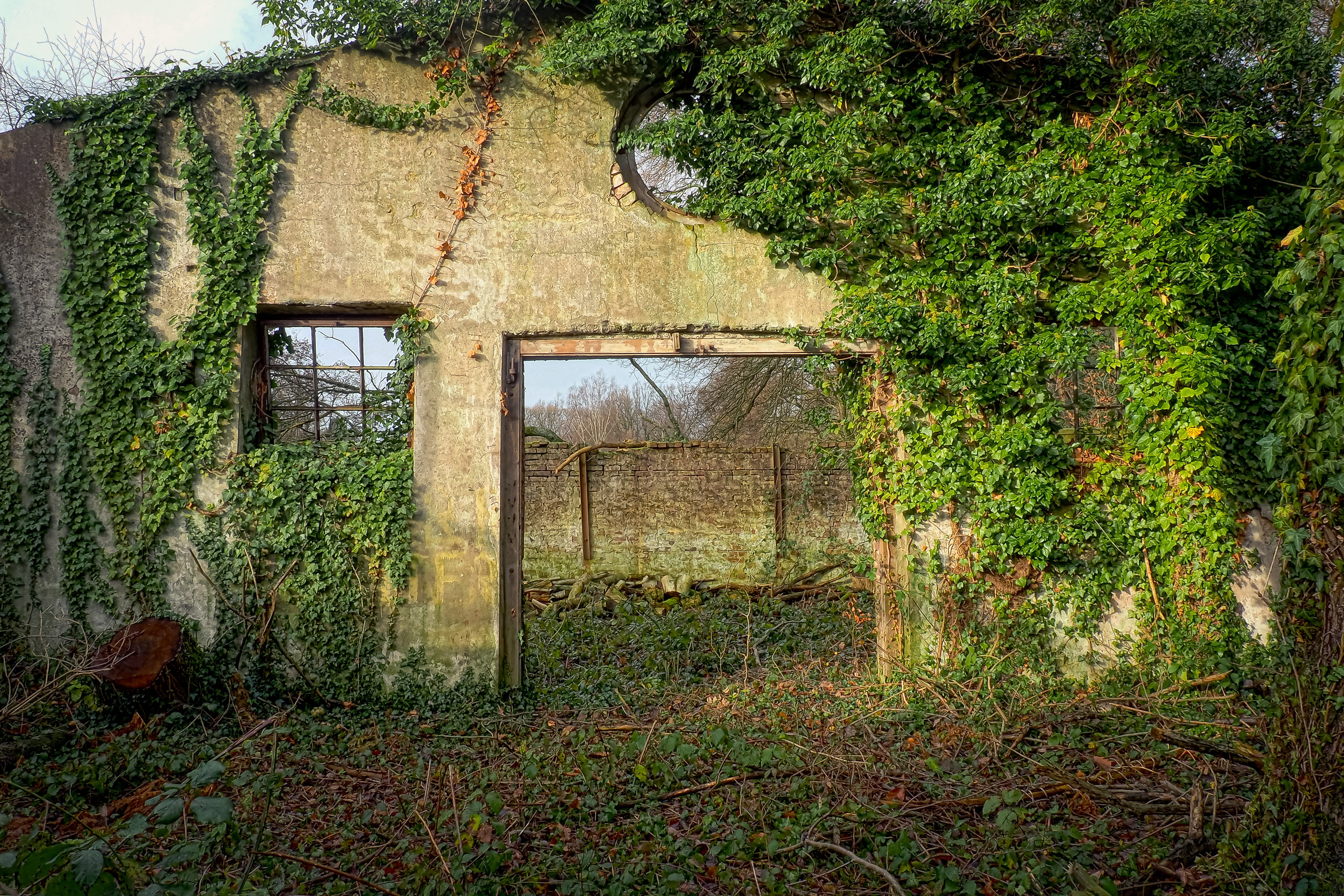 gray, lapsed, built structure, abandoned, unused, outdoors, decay, masonry, plant, obsolete, leave, 4K, lost places, forget, run-down, ruin, transience, HD Wallpaper