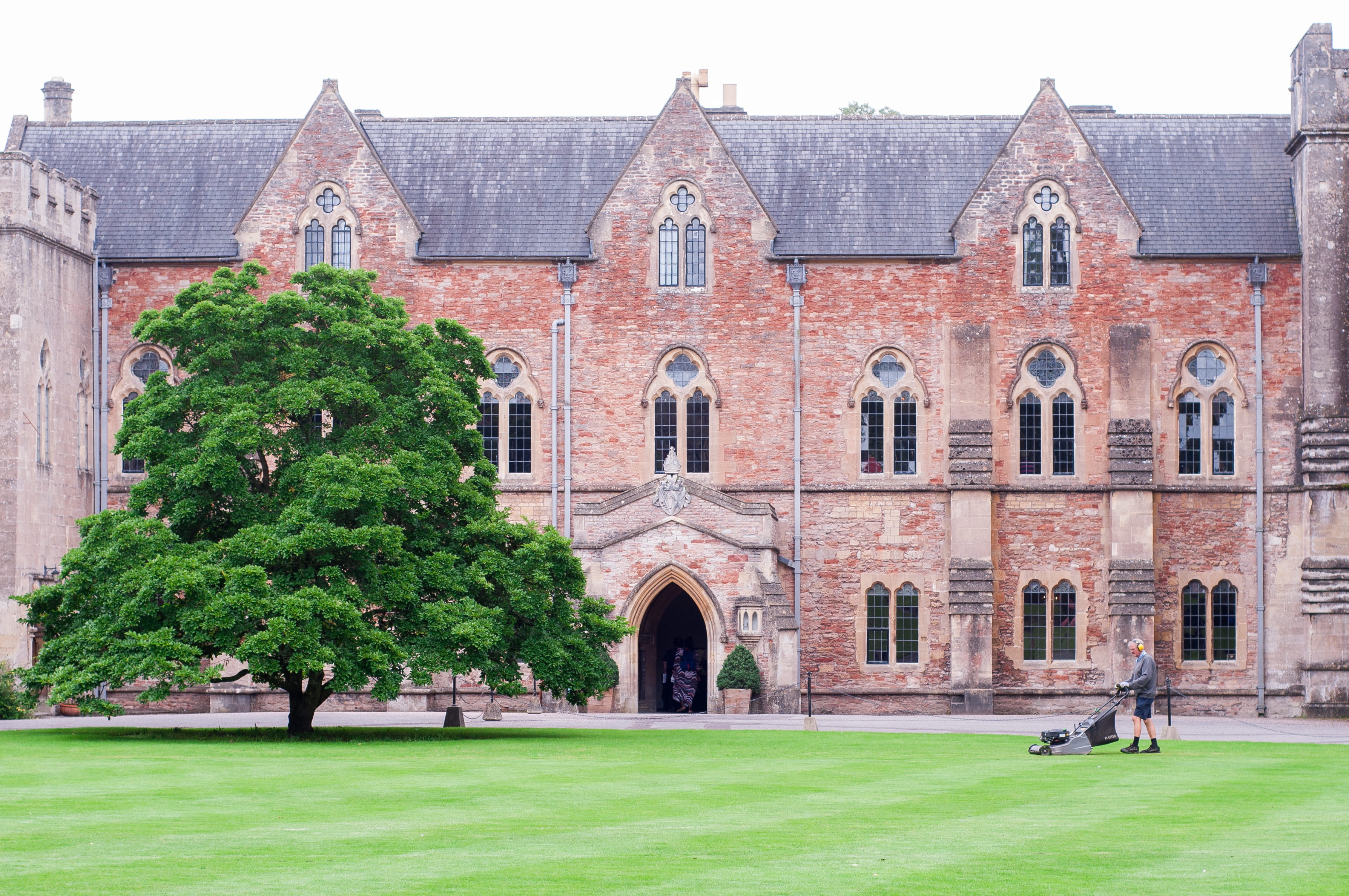 medieval, nature, the past, lawn, well, 2K, ivy barn, england, arch, tree, place of worship, university, somerset, religion, outdoors, window, building exterior, HD Wallpaper