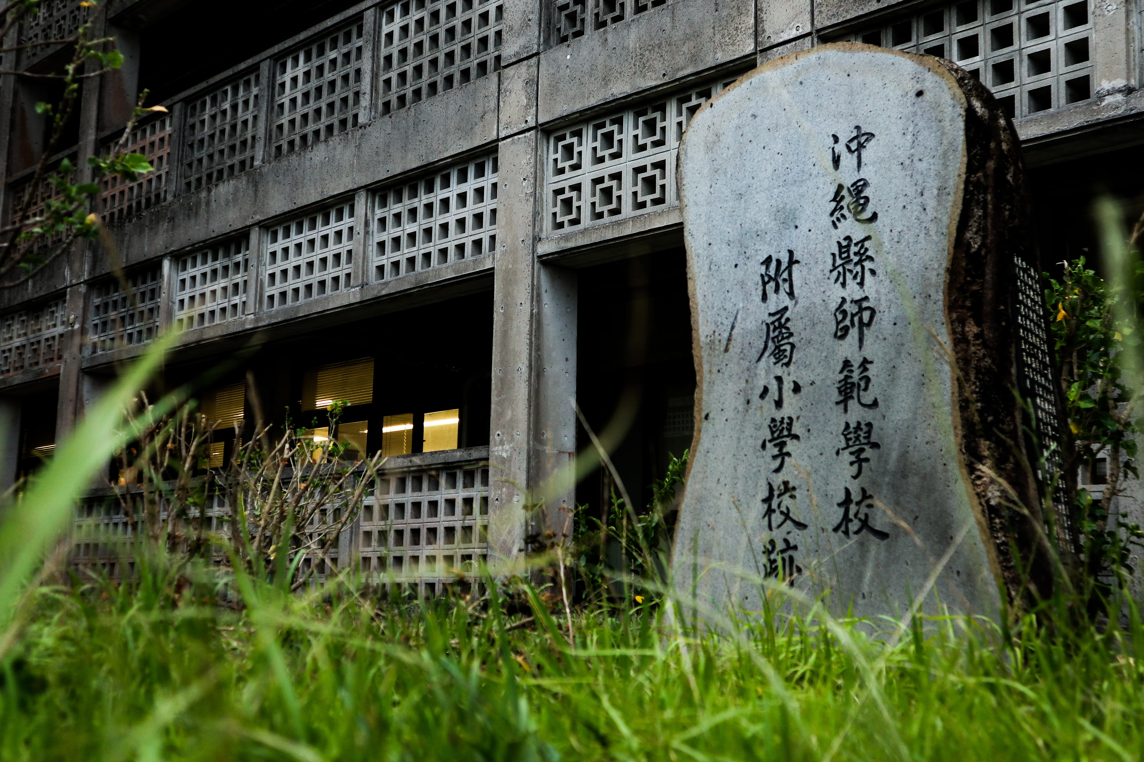 history, green, urban, road, nature, street, alley, green color, grass, architecture, script, city, the past, japan, gray, flora, villa, high rise, building, HD Wallpaper