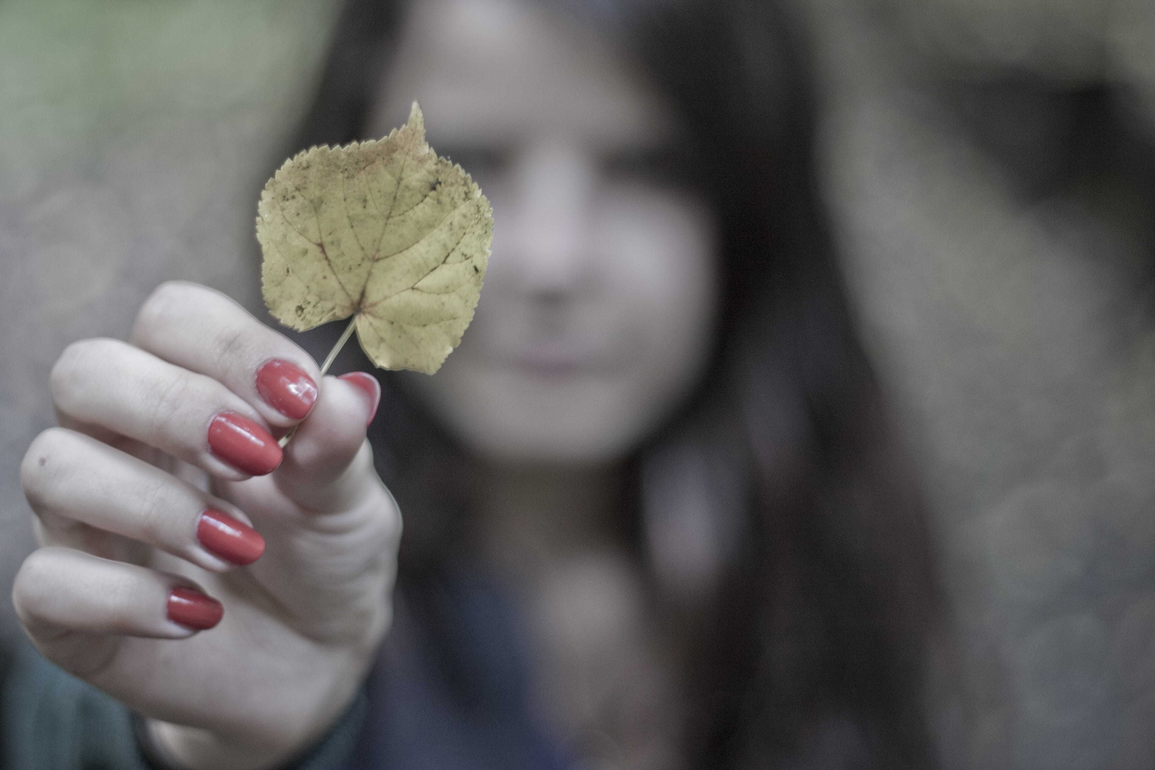 gray, caucasian Ethnicity, temptation, selective, food, frozen food, leaves, leaf, selective focus, human hand, green, human body part, food and drink, HD Wallpaper
