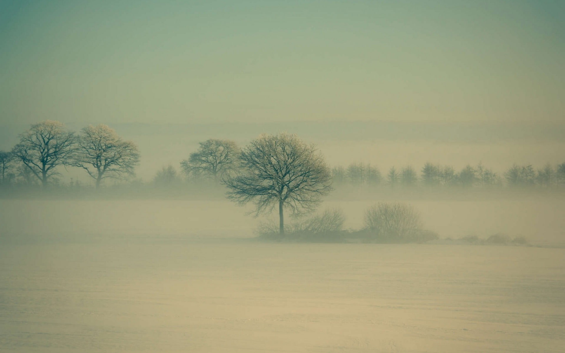 cold temperature, landscape, system, no people, hazy, tree, plant, fog, early, land, widescre, field, morning, nature, scenics - nature, 1080P, outdoors, HD Wallpaper