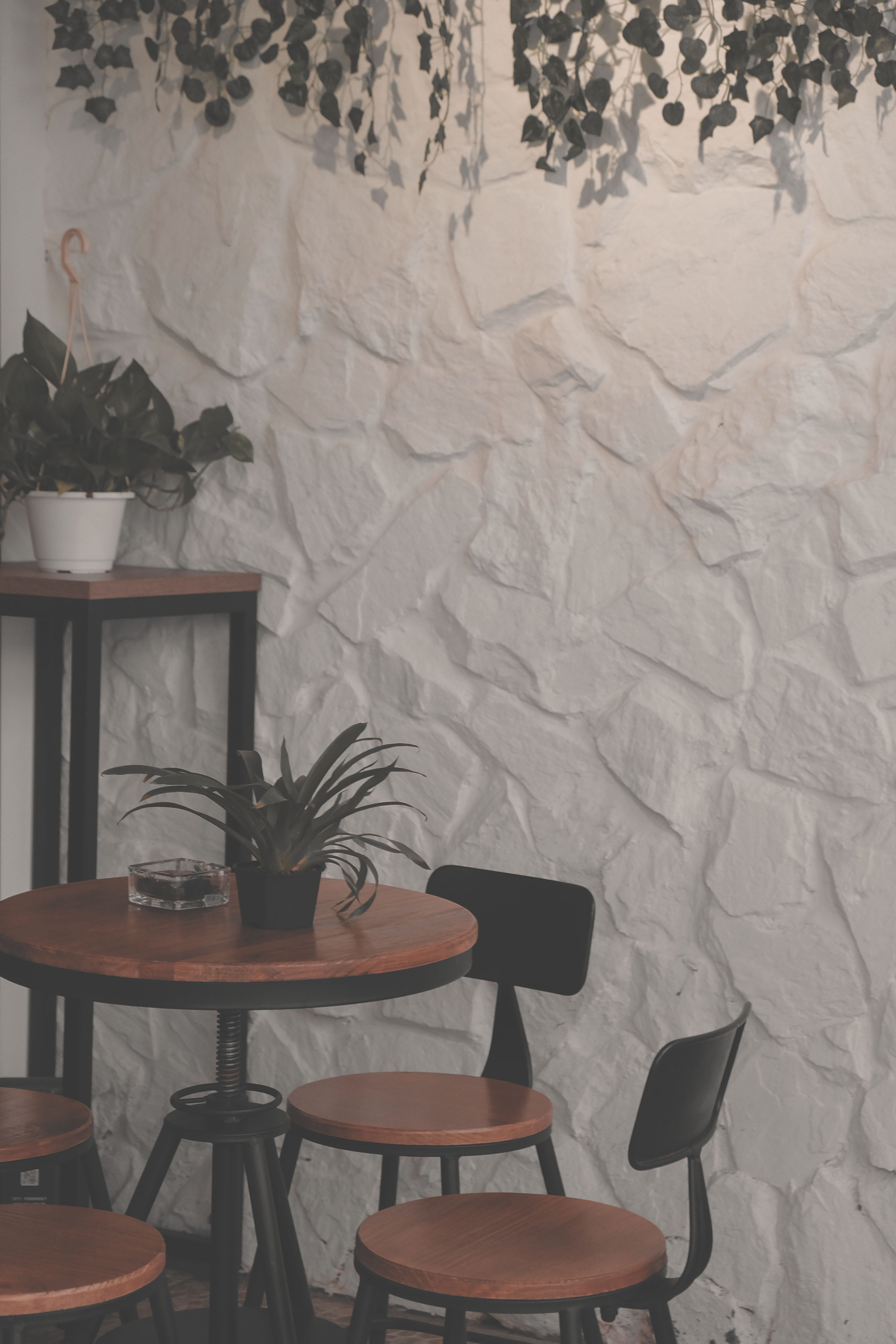 nature, plant, restaurant, day, business, coffee shop, still life, absence, wall, glass, setting, plantatio, taipei, no people, chair, architecture, urban, Phone HD Wallpaper
