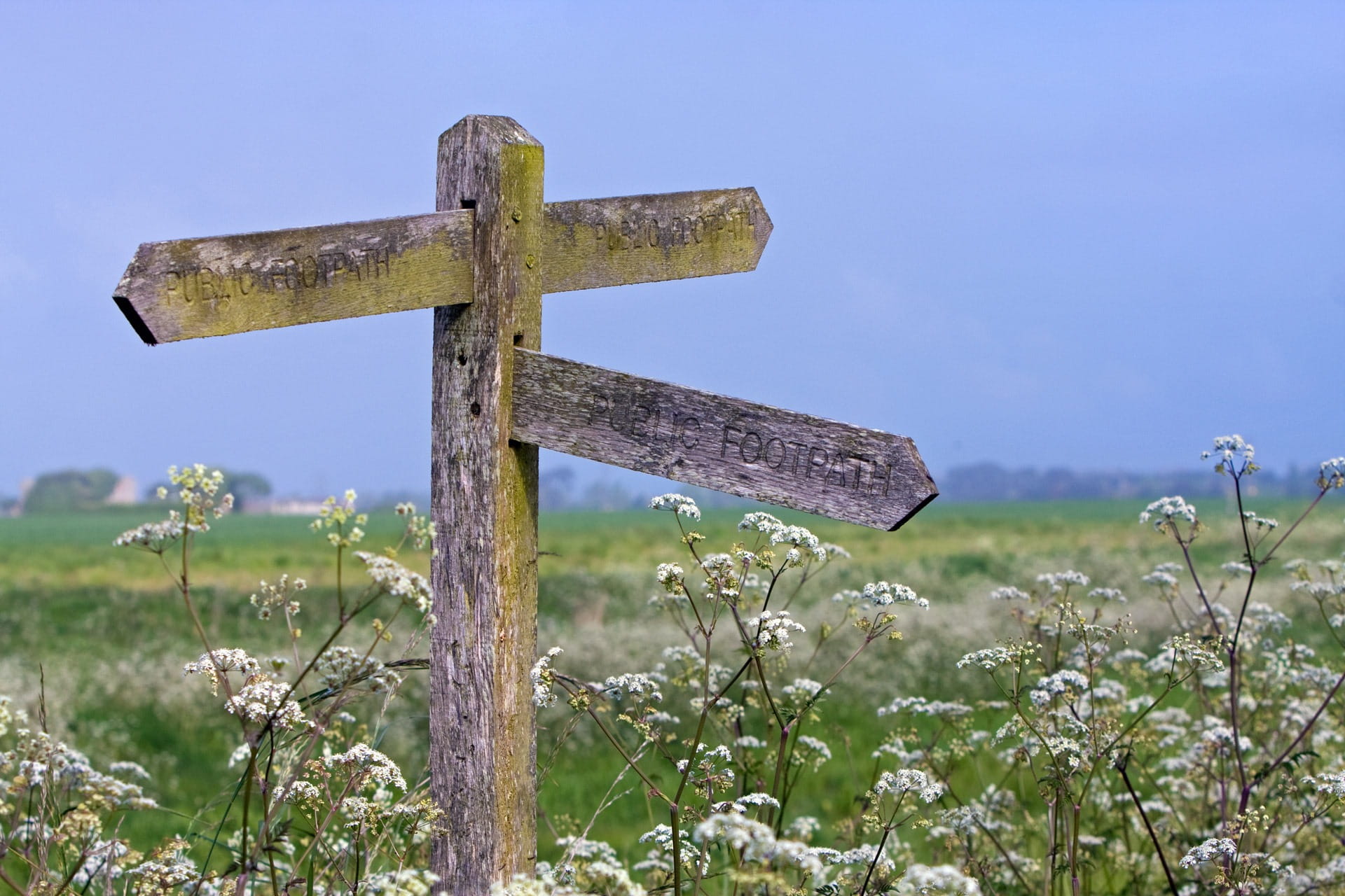 sussex, religion, flower, symbol, land, belief, letter, wooden, english, beautiful, tranquility, signpost, image, sky, field, grass, focus on foreground, HD Wallpaper