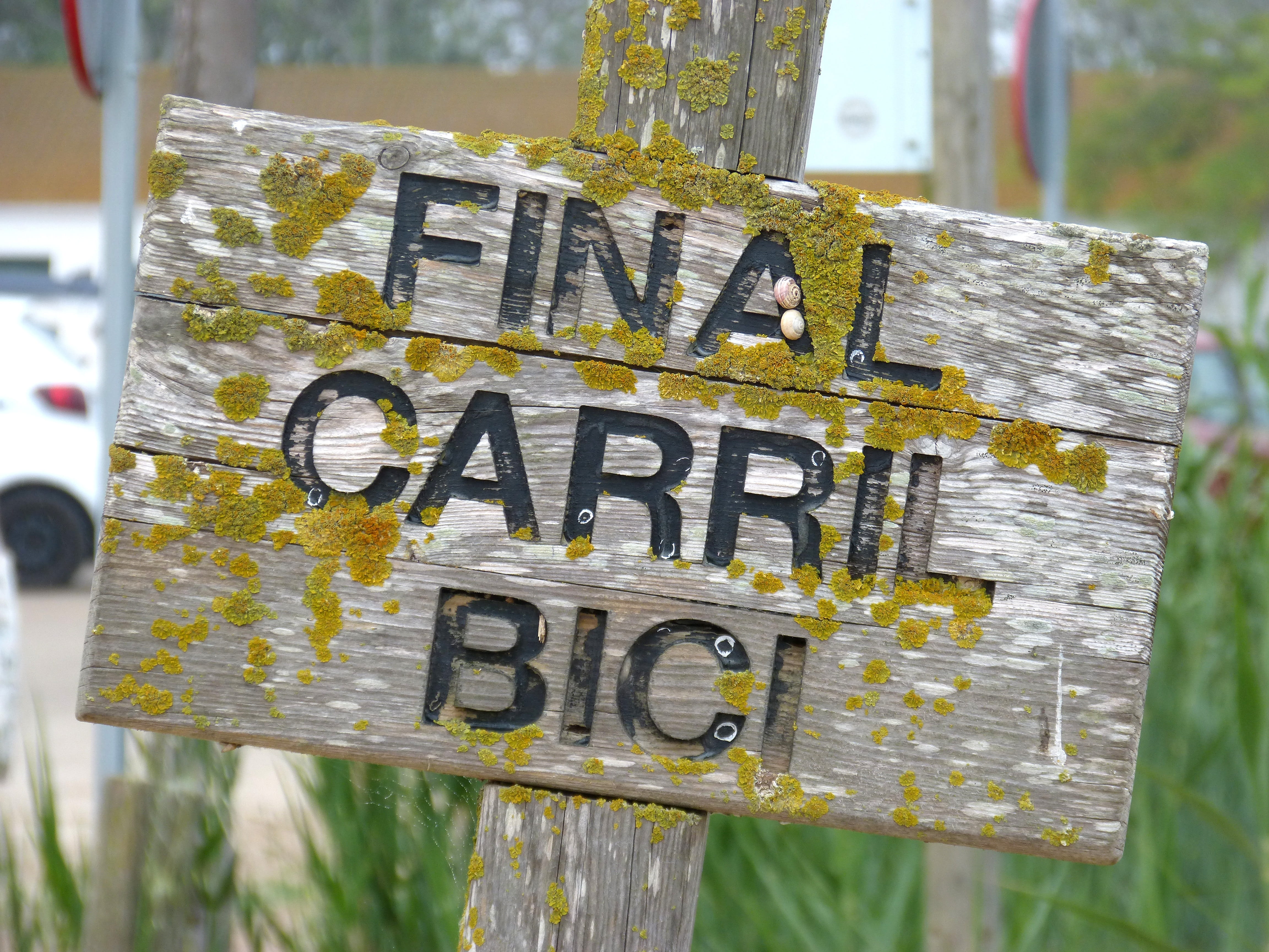 road sign, message, focus on foreground, close-up, communication, text, capital letter, wood, arrow symbol, plant, old, nature, day, wood - material, no people, HD Wallpaper