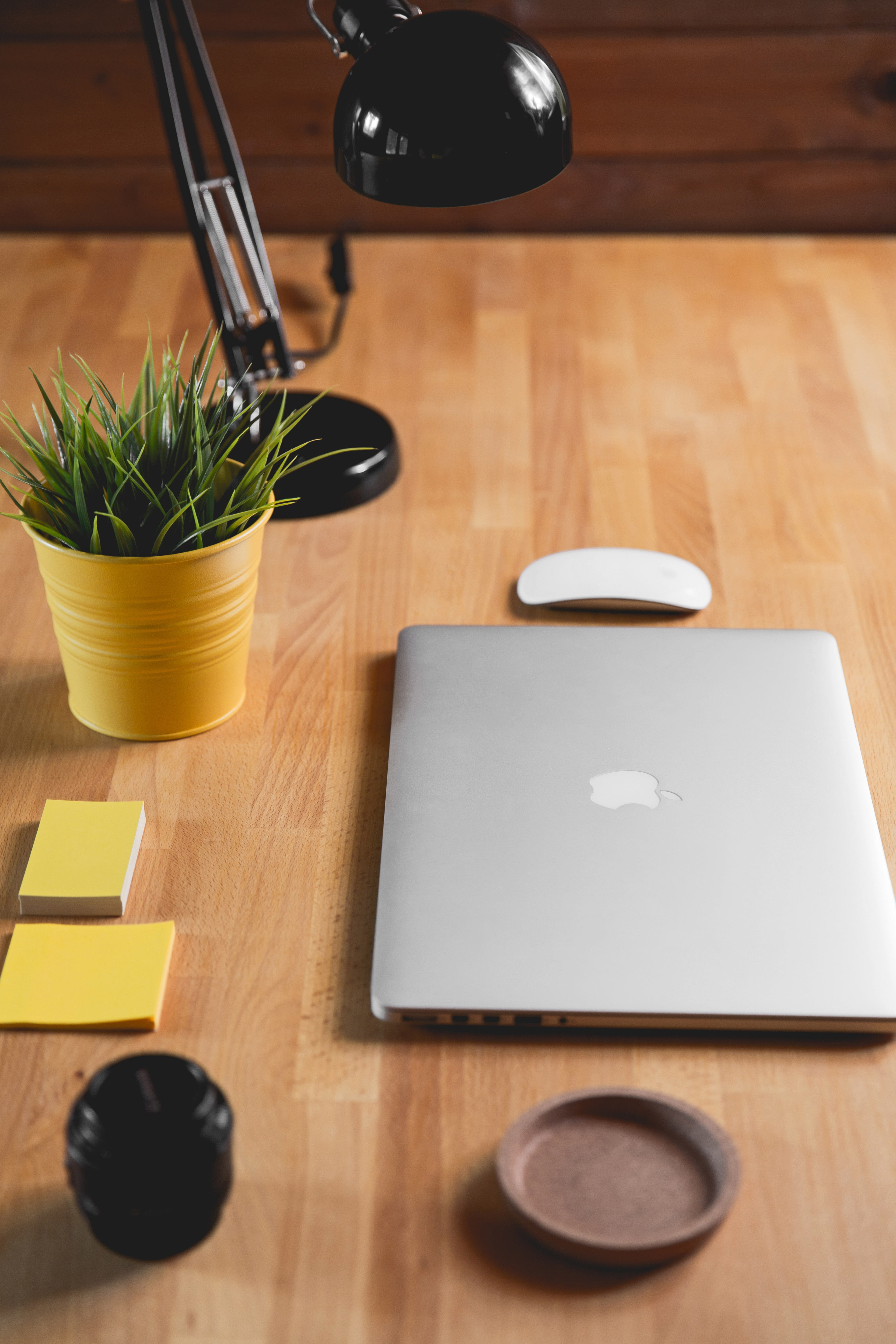 cutting board, table, potted plant, macbook, sticky notes, laptop, royalty  images, wooden surface, freshness, technology, plant, desk lamp, wellbeing, Phone HD Wallpaper