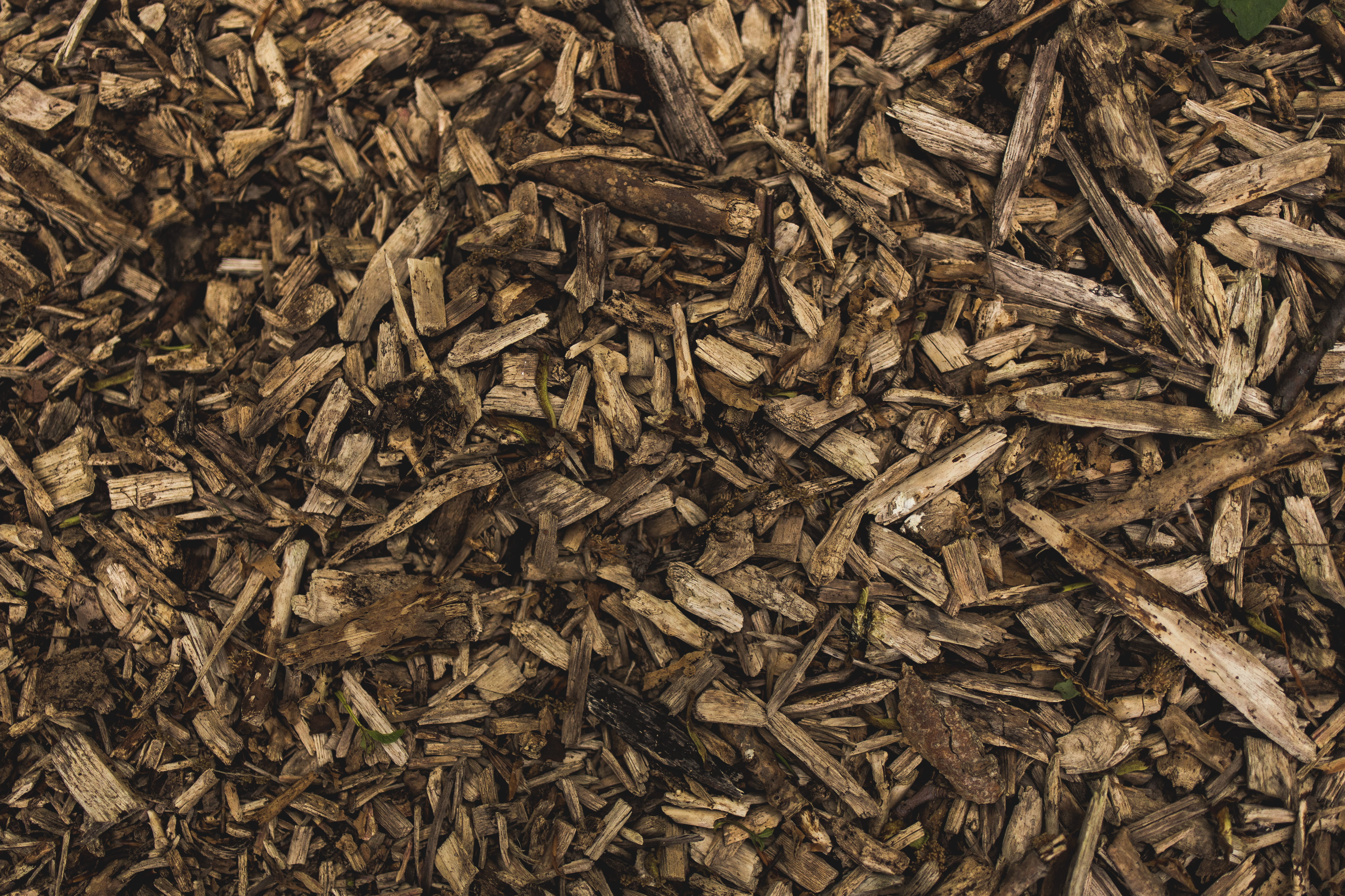 nature, high angle view, no people, textured, firewood, natural condition, 5K, abundance, food, close-up, wood, plant, dry, backgrounds, photography, indoors, HD Wallpaper