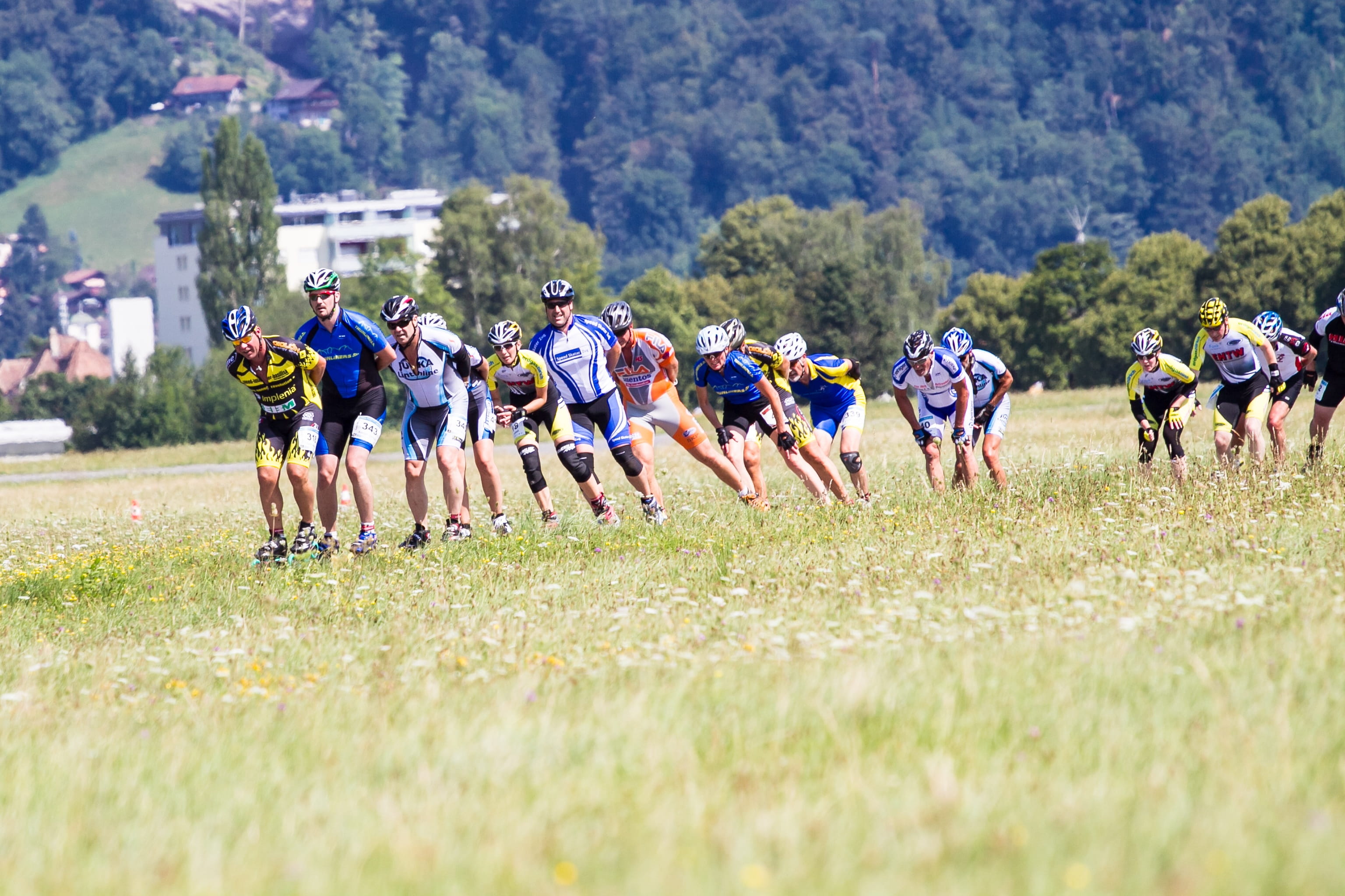 tree, competition, crowd, inline, Race, field, plant, large group of people, sports clothing, cooperation, sports team, real people, healthy lifestyle, HD Wallpaper
