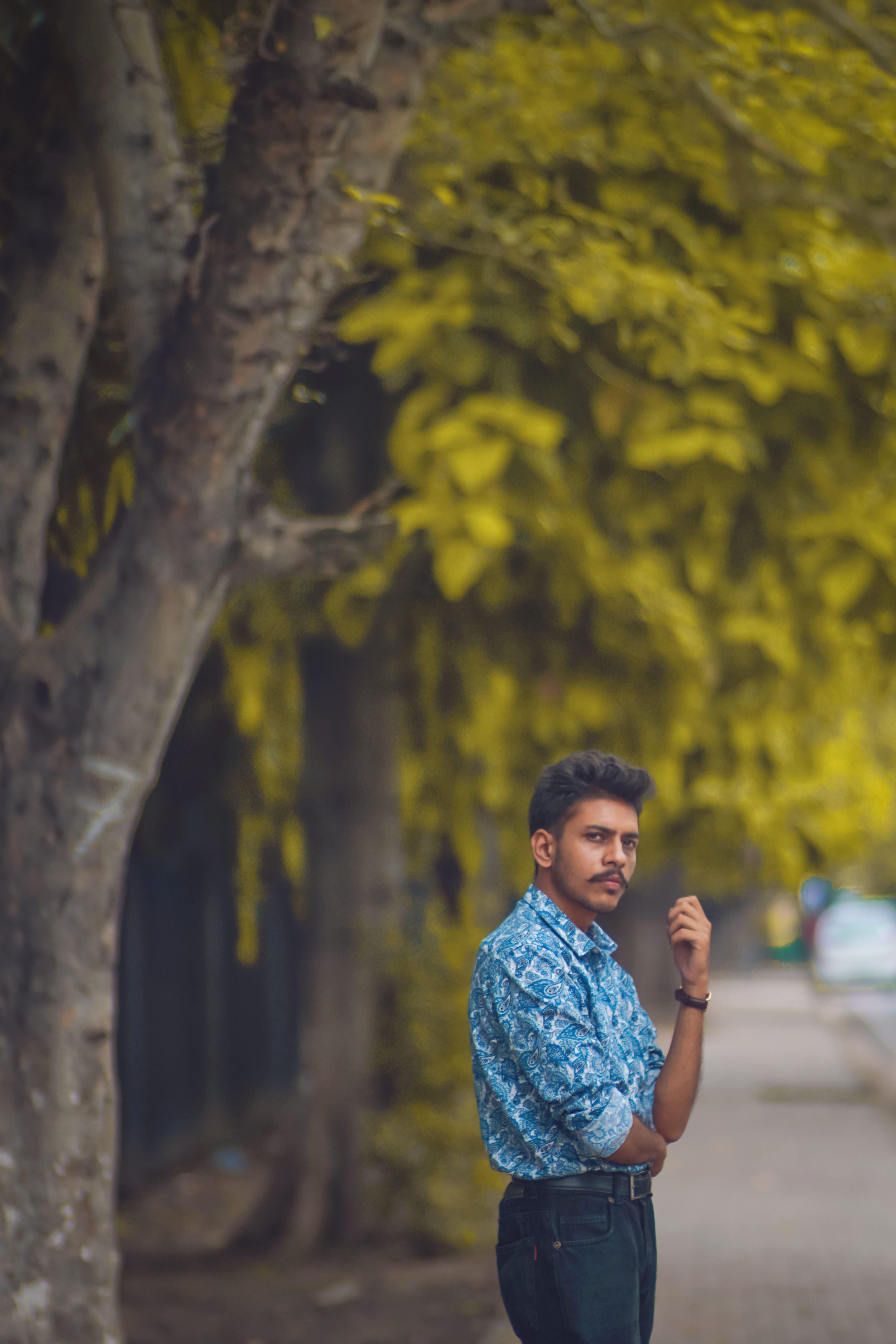 hairstyle, sleeved, portrait, plant, beautiful woman, young women, looking at camera, guy, three quarter length, real people, tree, trees, wear, chandigarh, Phone HD Wallpaper