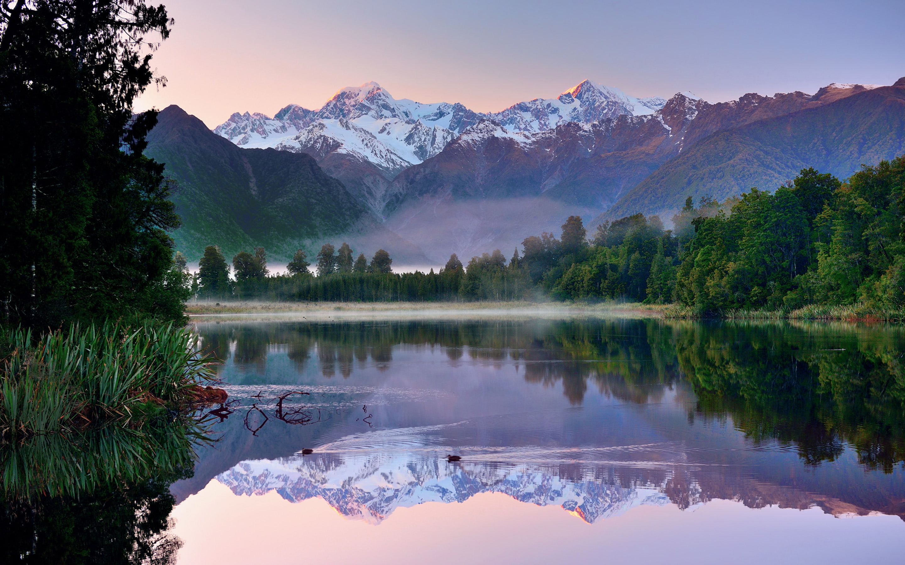 water, reeds, trees, beautiful, new, nature, lake, gassing, 2K, snow, reflection, mountains, zealand, HD Wallpaper