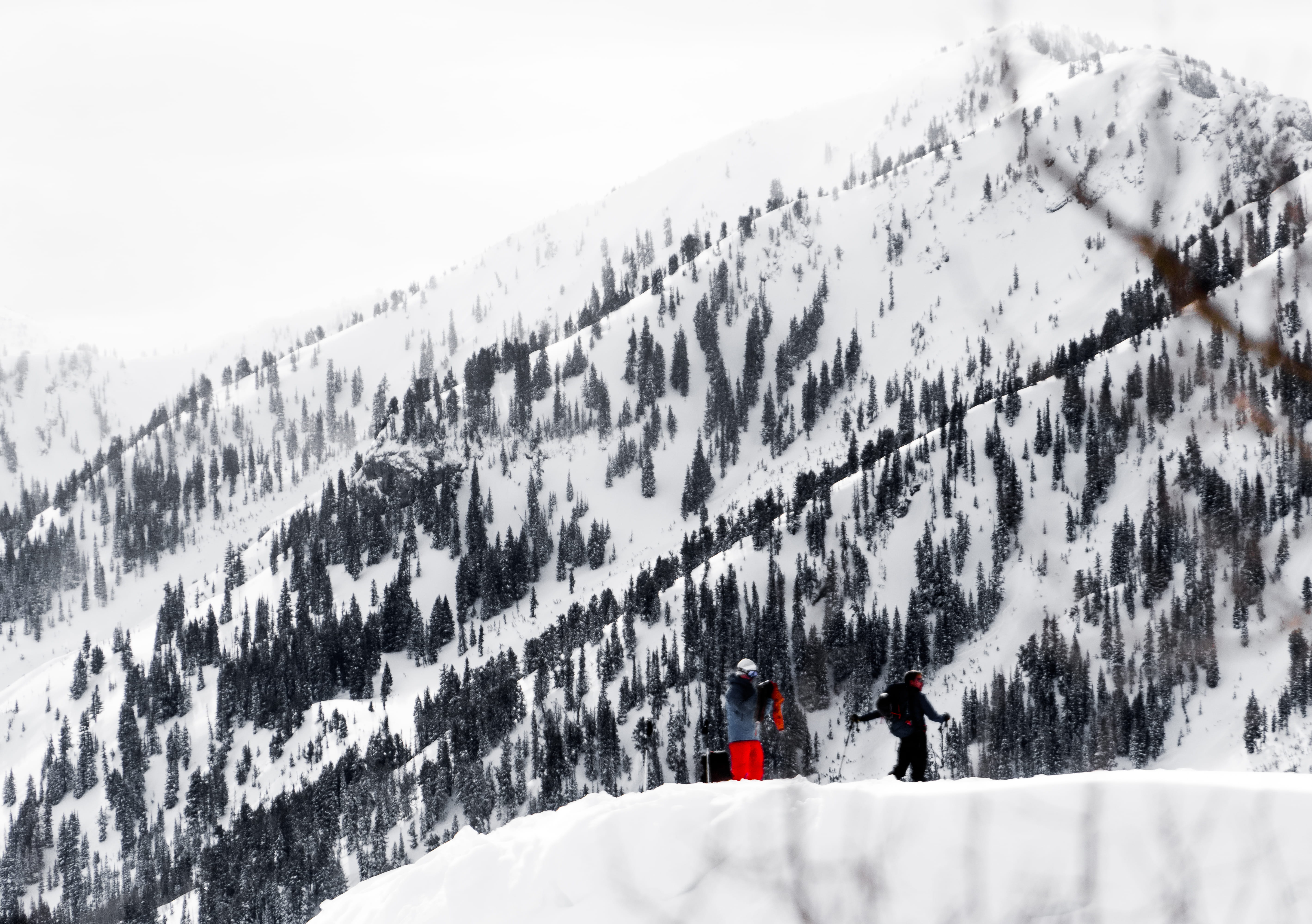 scenics - nature, ridge, mountain, mountains, mountain range, trees, winter, covering, sport, beauty in nature, skiing, day, white color, utah, tranquil scene, HD Wallpaper